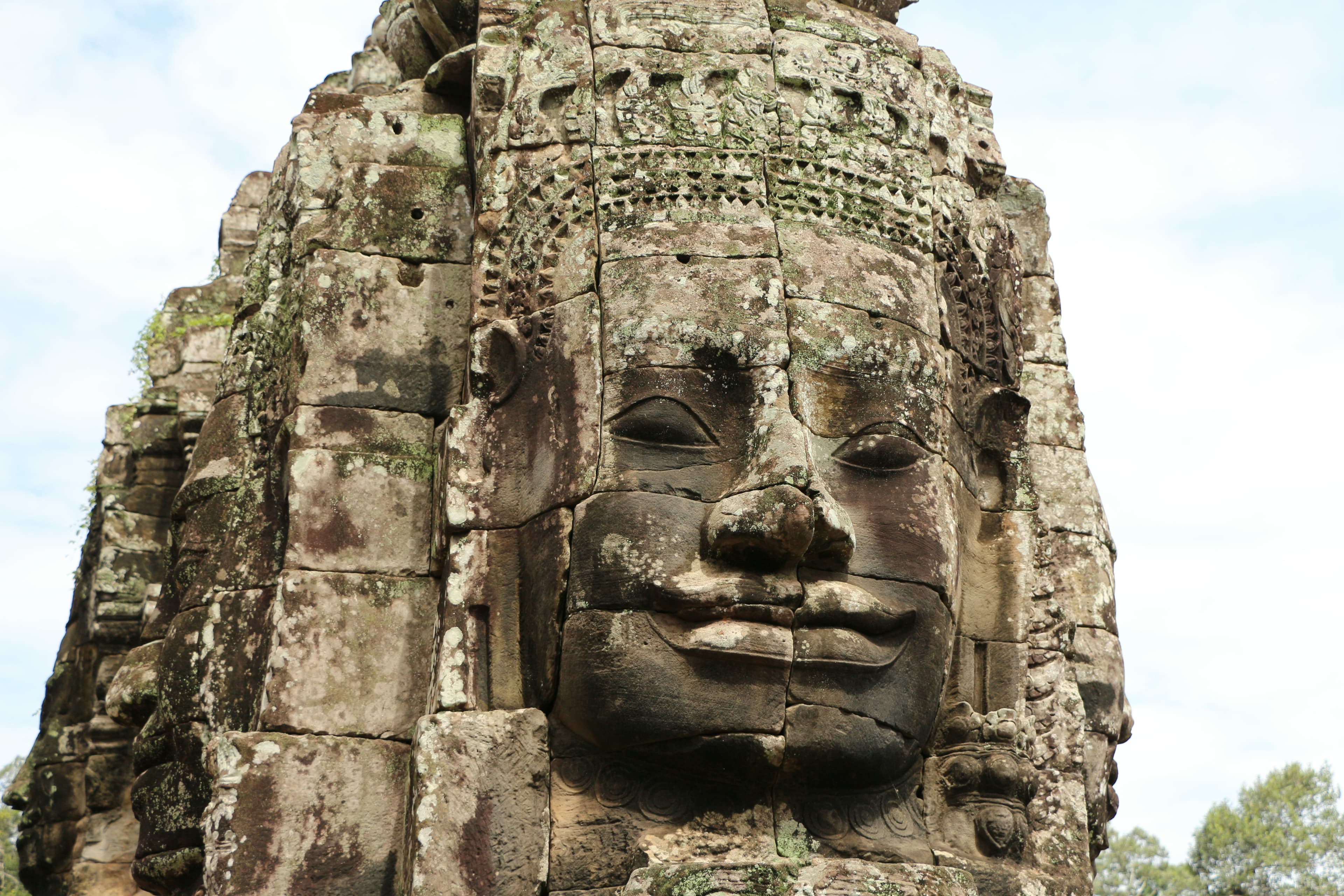 Stone face and tree at Bayon Temple