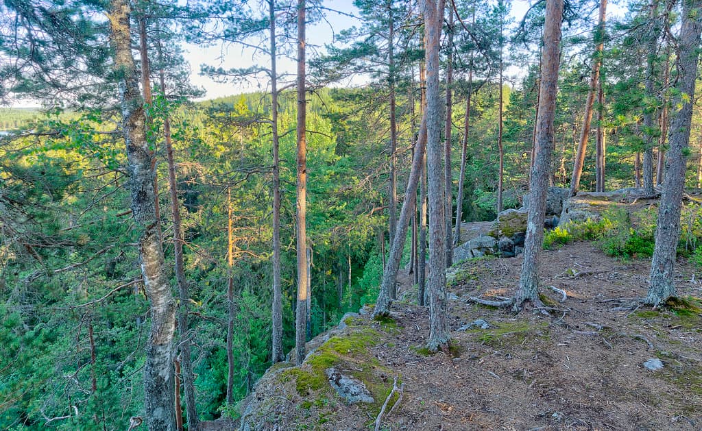 Kuhmoinen Linnavuori