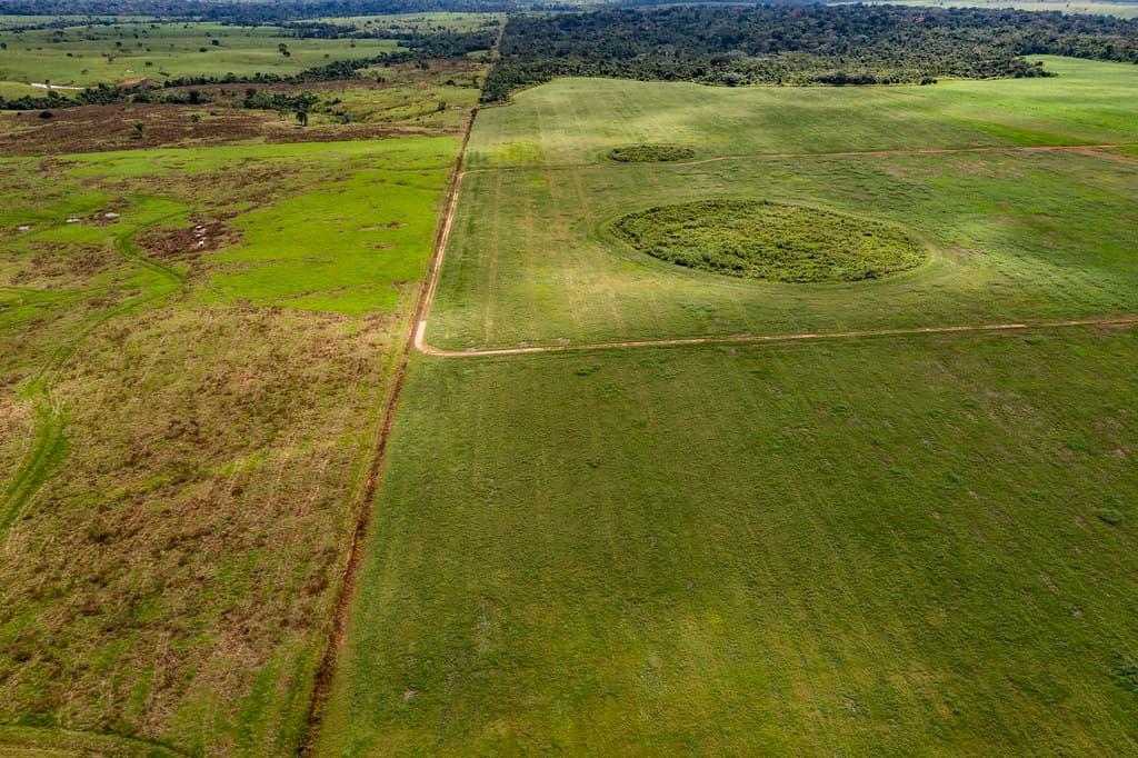 Geoglyphs of Acre, Brazil