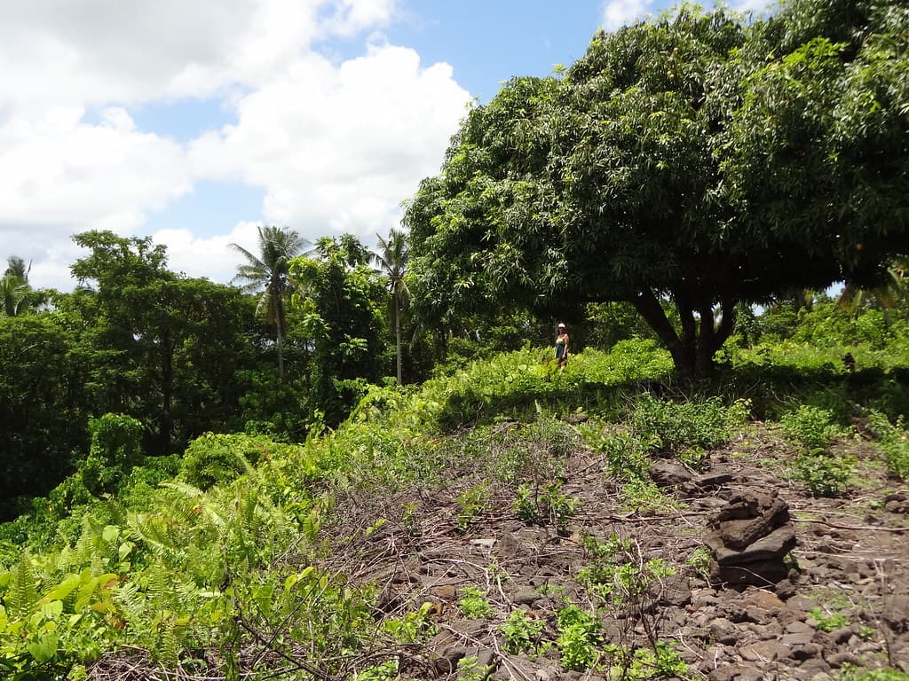 Pulemelei Mound