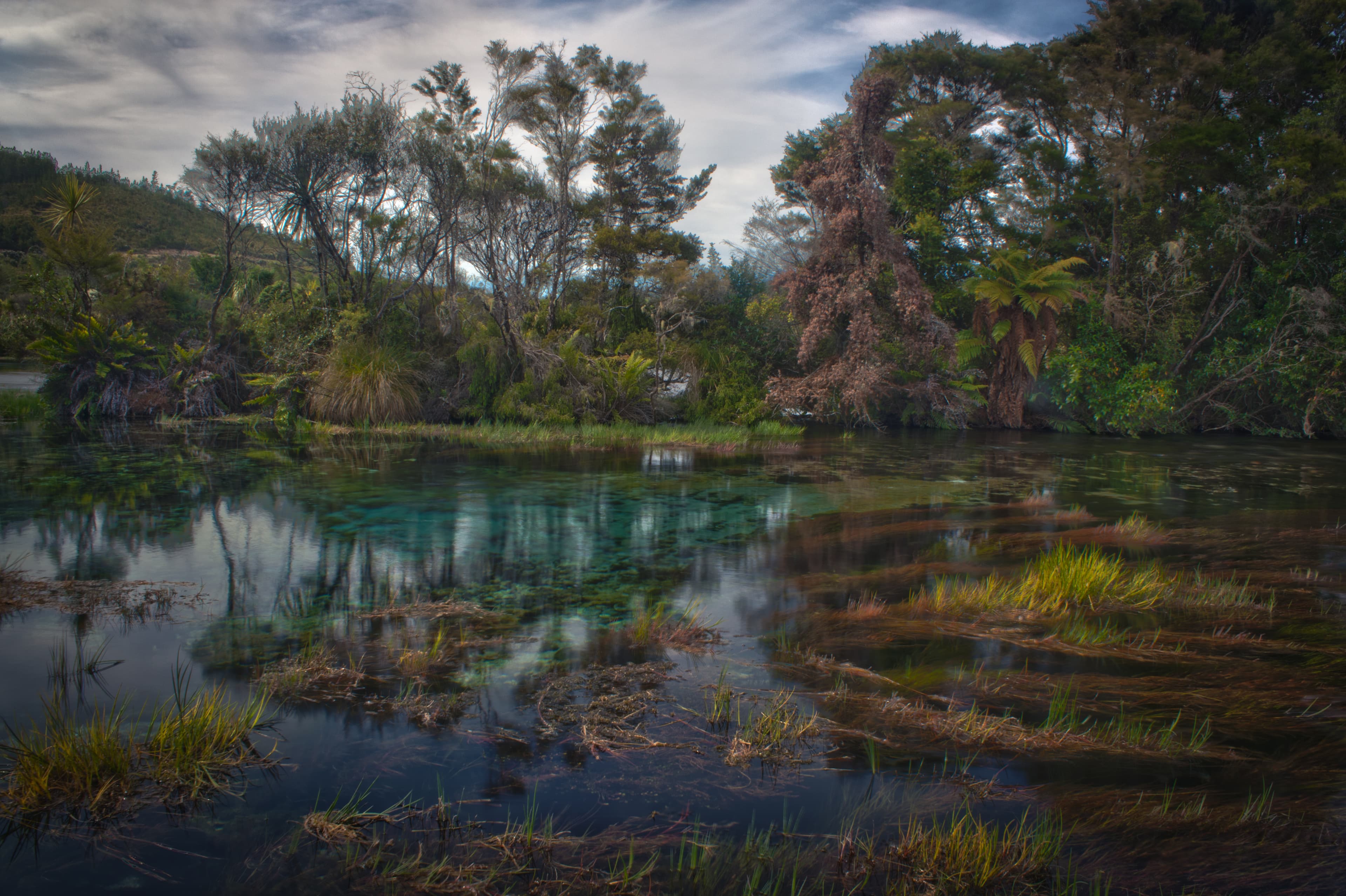 Te Waikoropupū Springs