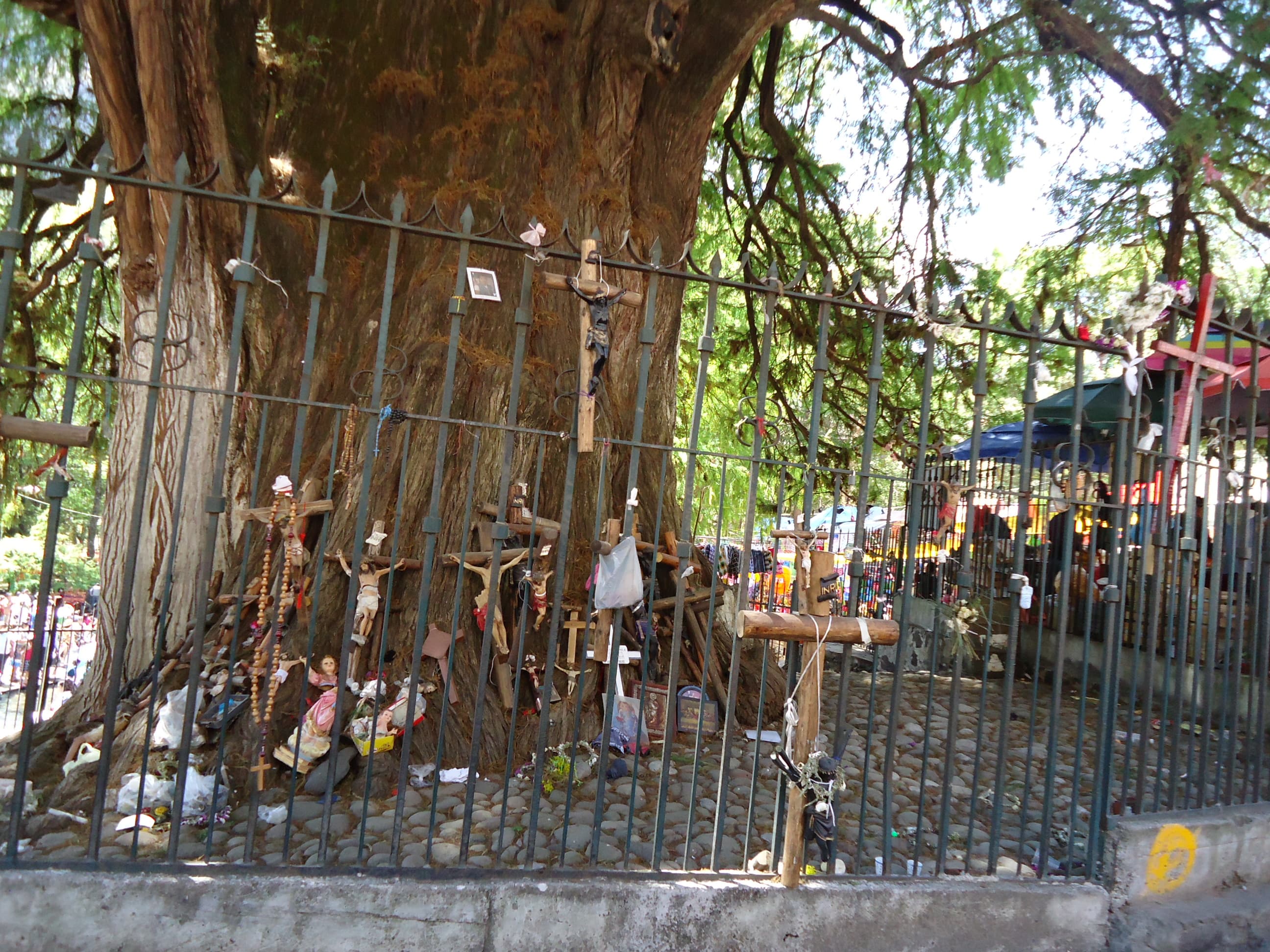 Ahuehuete Spring near Chalma