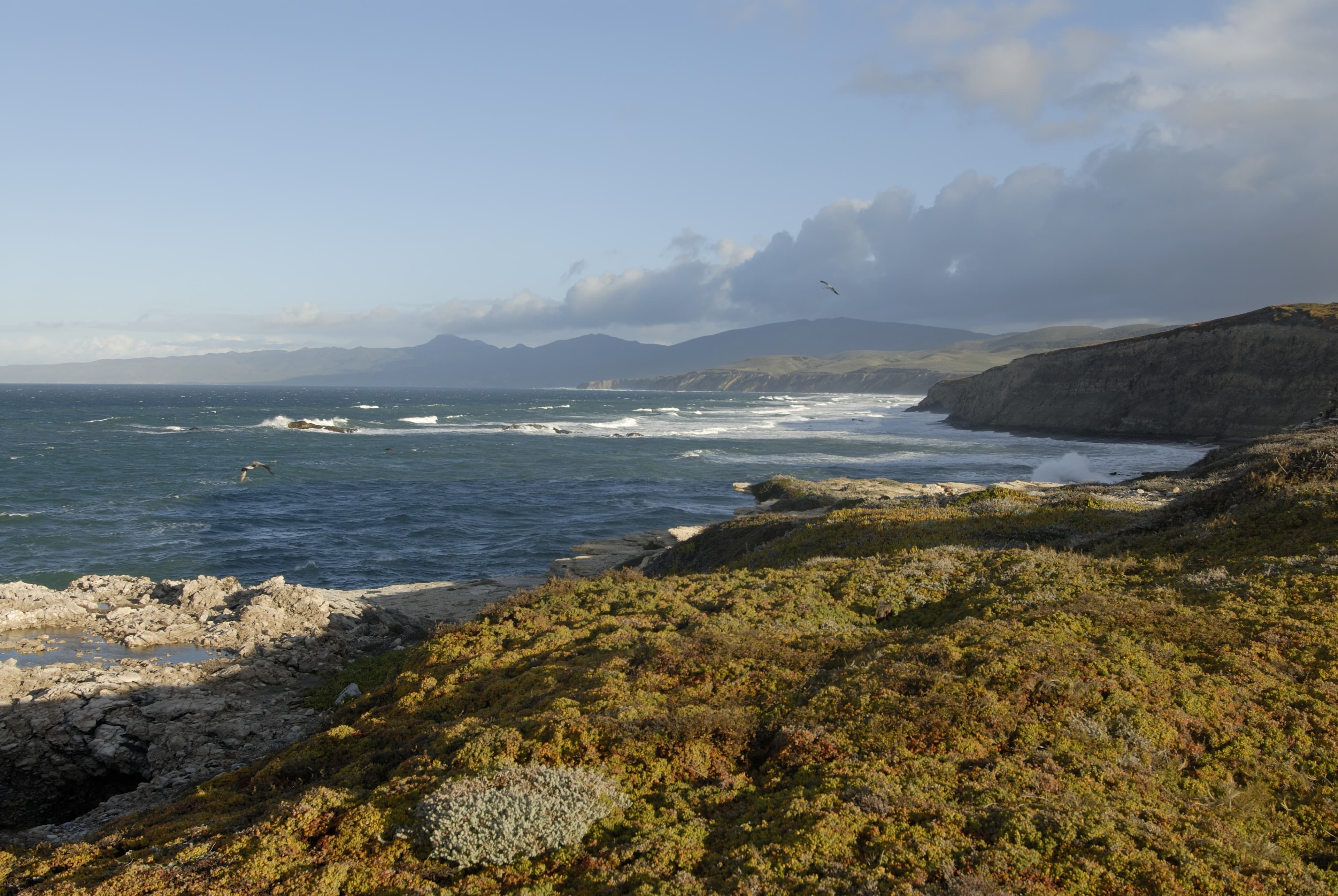 Point Conception, California