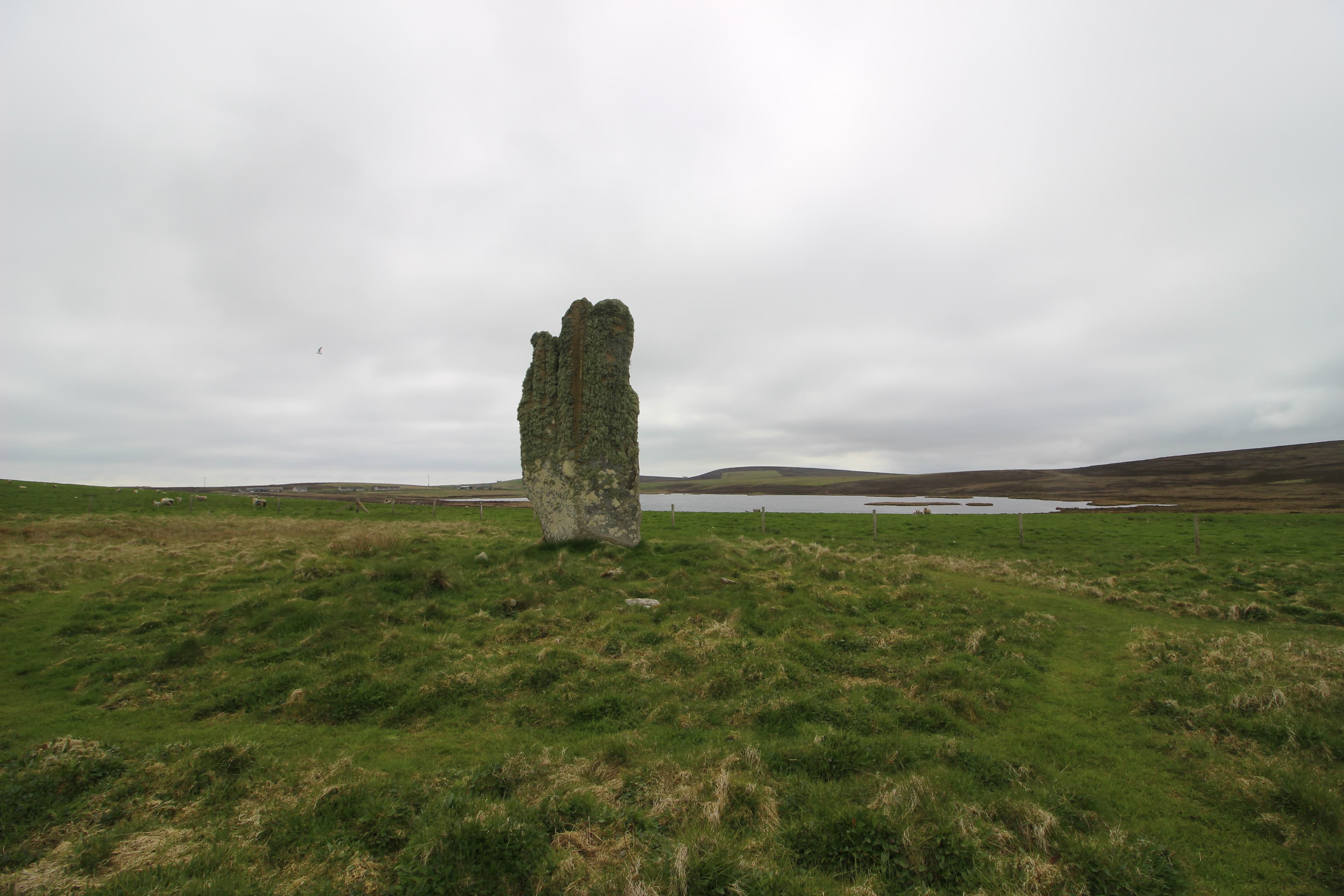 The Setter Stone
