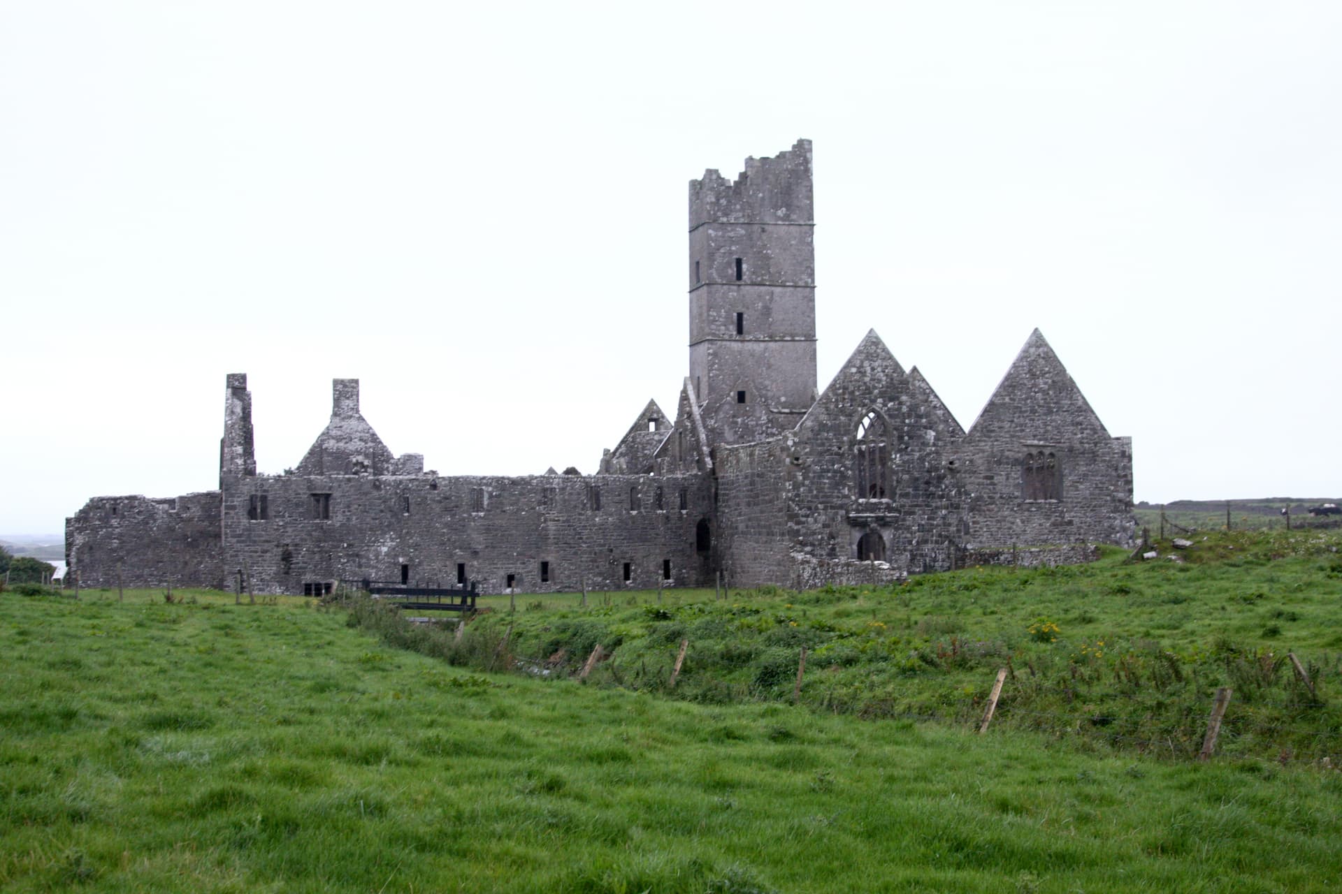 Moyne Abbey