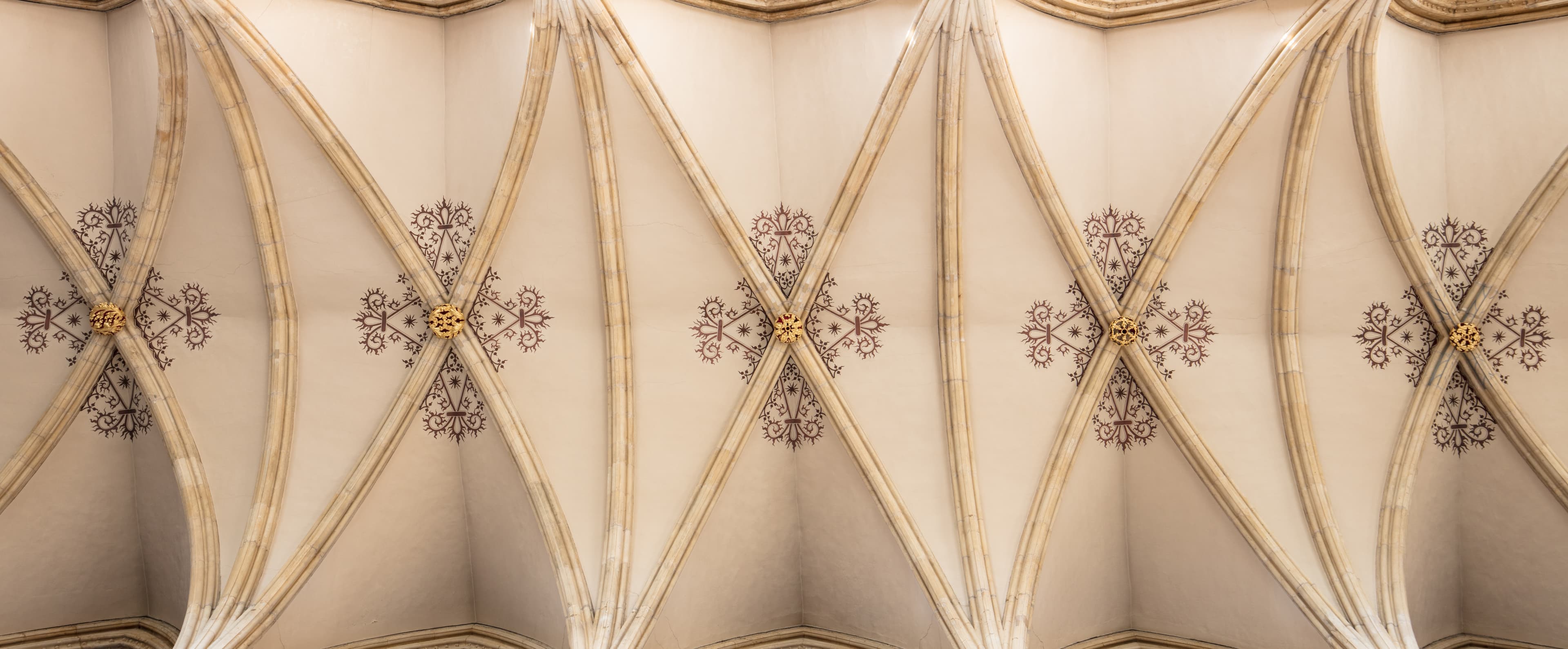 Here is a photograph taken of the ceiling inside the nave of Beverley Minster.  Located in Beverly, Yorkshire, England, UK.