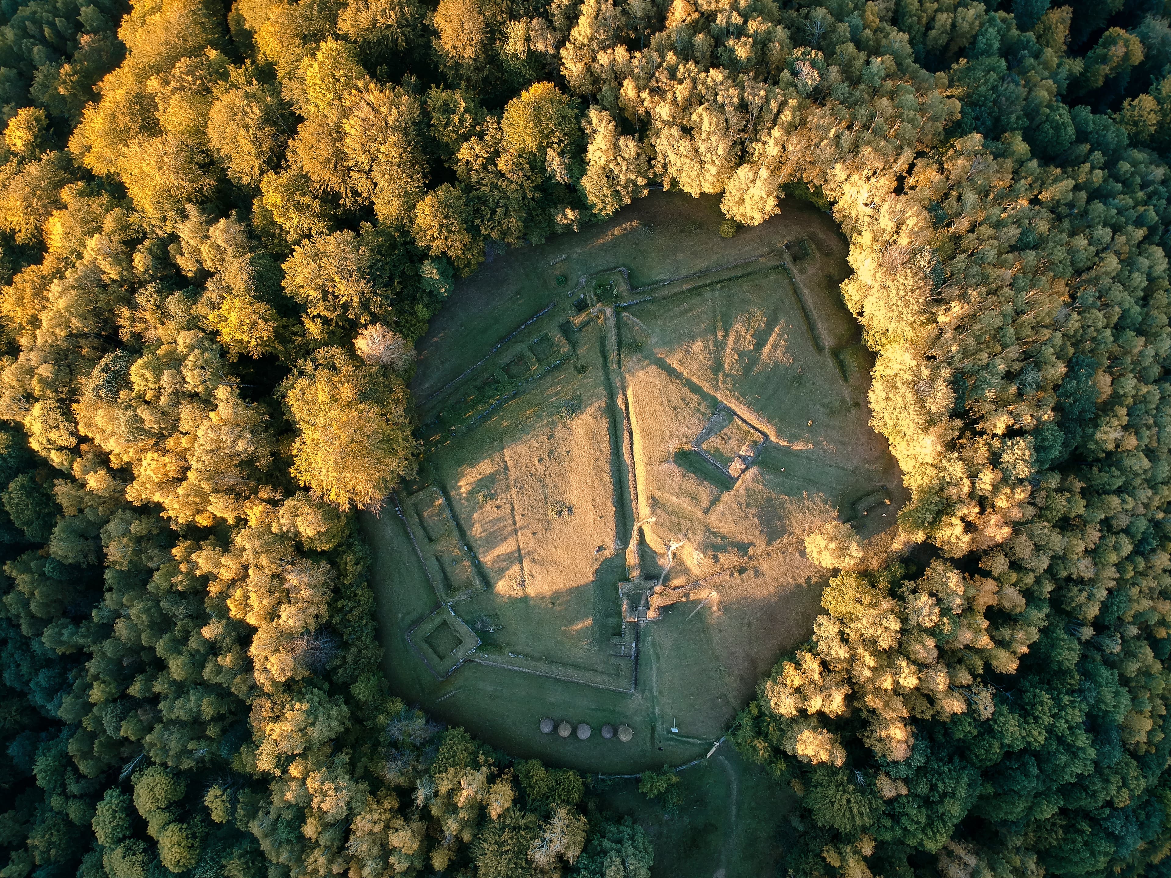 Costești-Blidaru Dacian Fortress