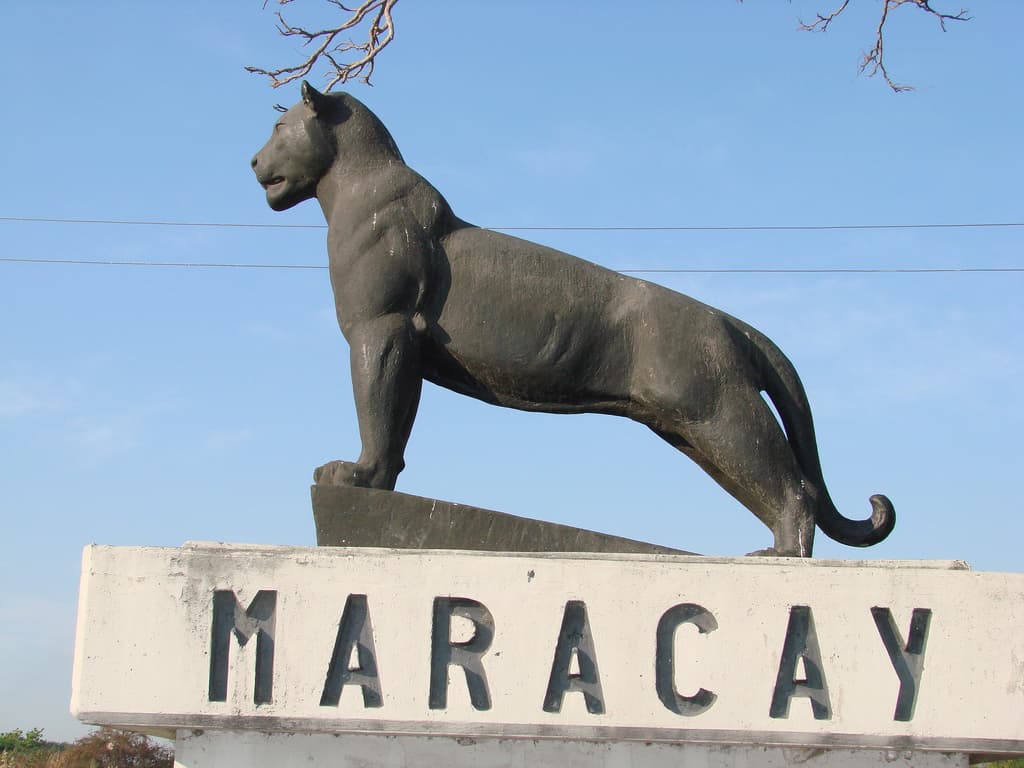 Símbolo y signo de los Indios Maracaya.