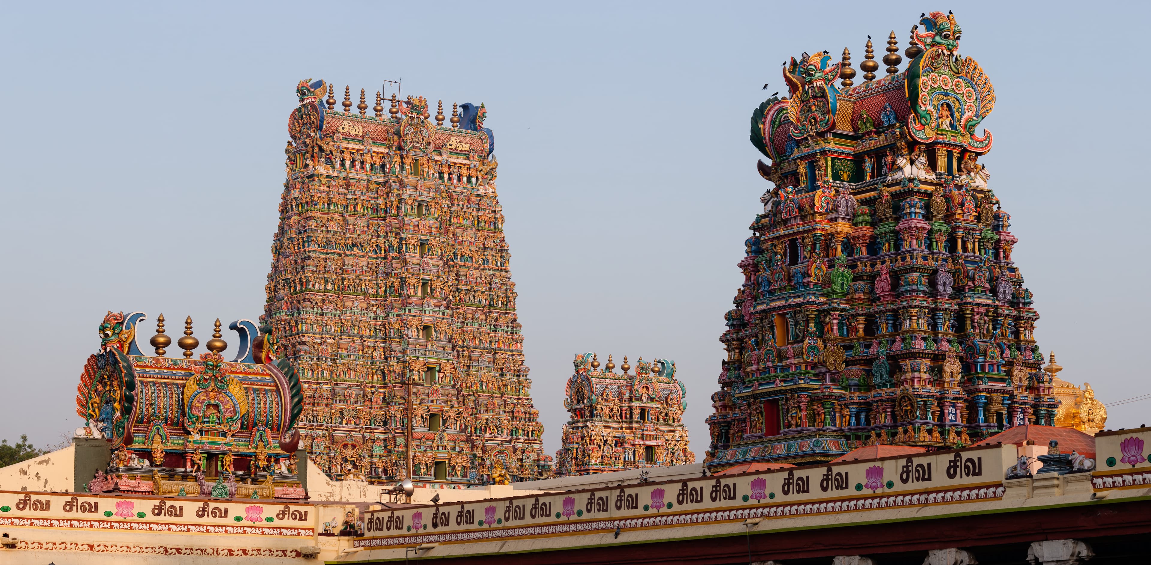 West tower of the Meenakshi Amman Temple in Madurai, Tamil Nadu, India.