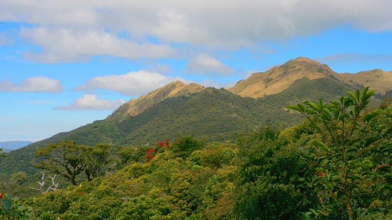 Mount Pulag, Luzon