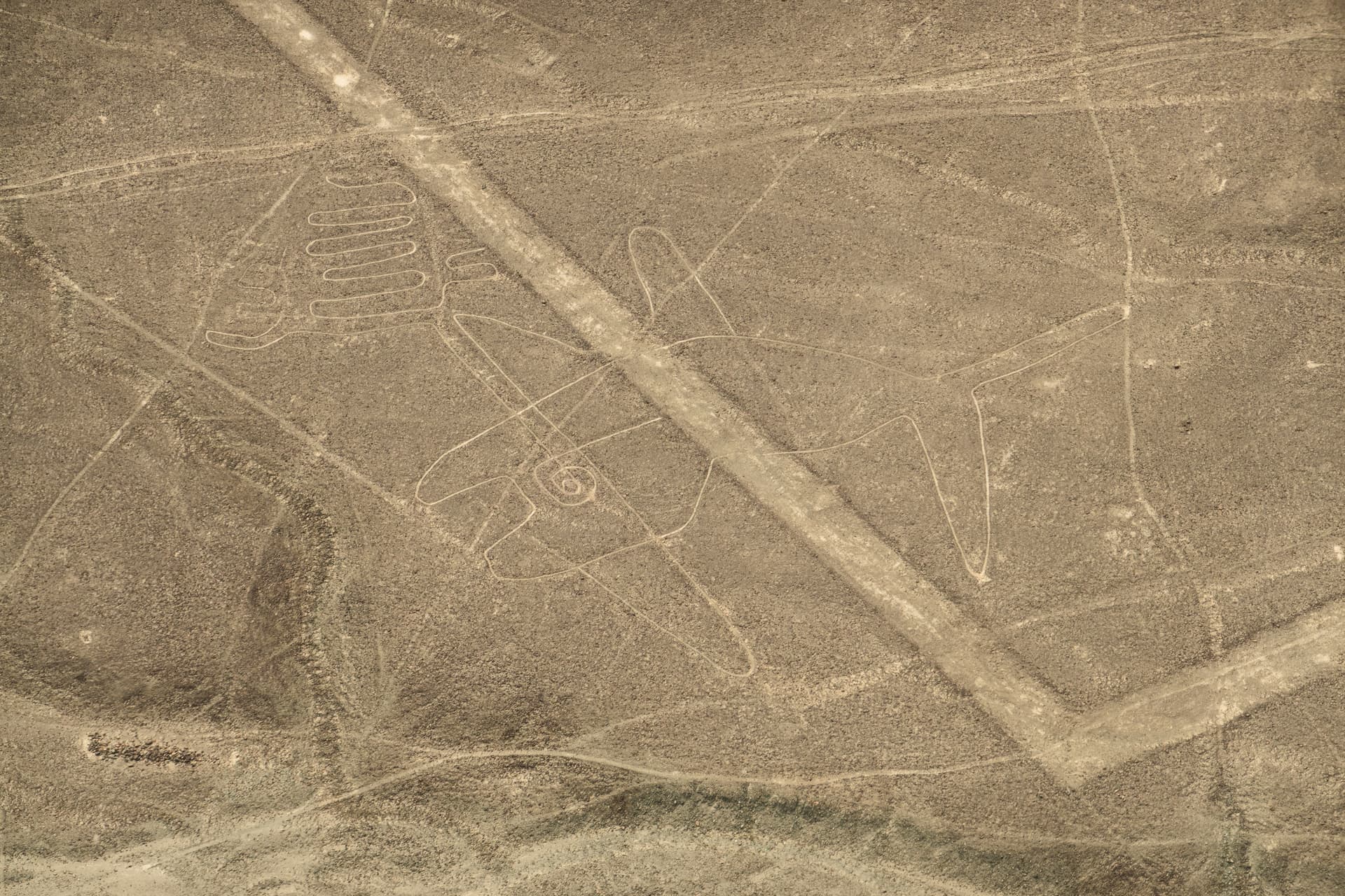 Nasca - La Ballena