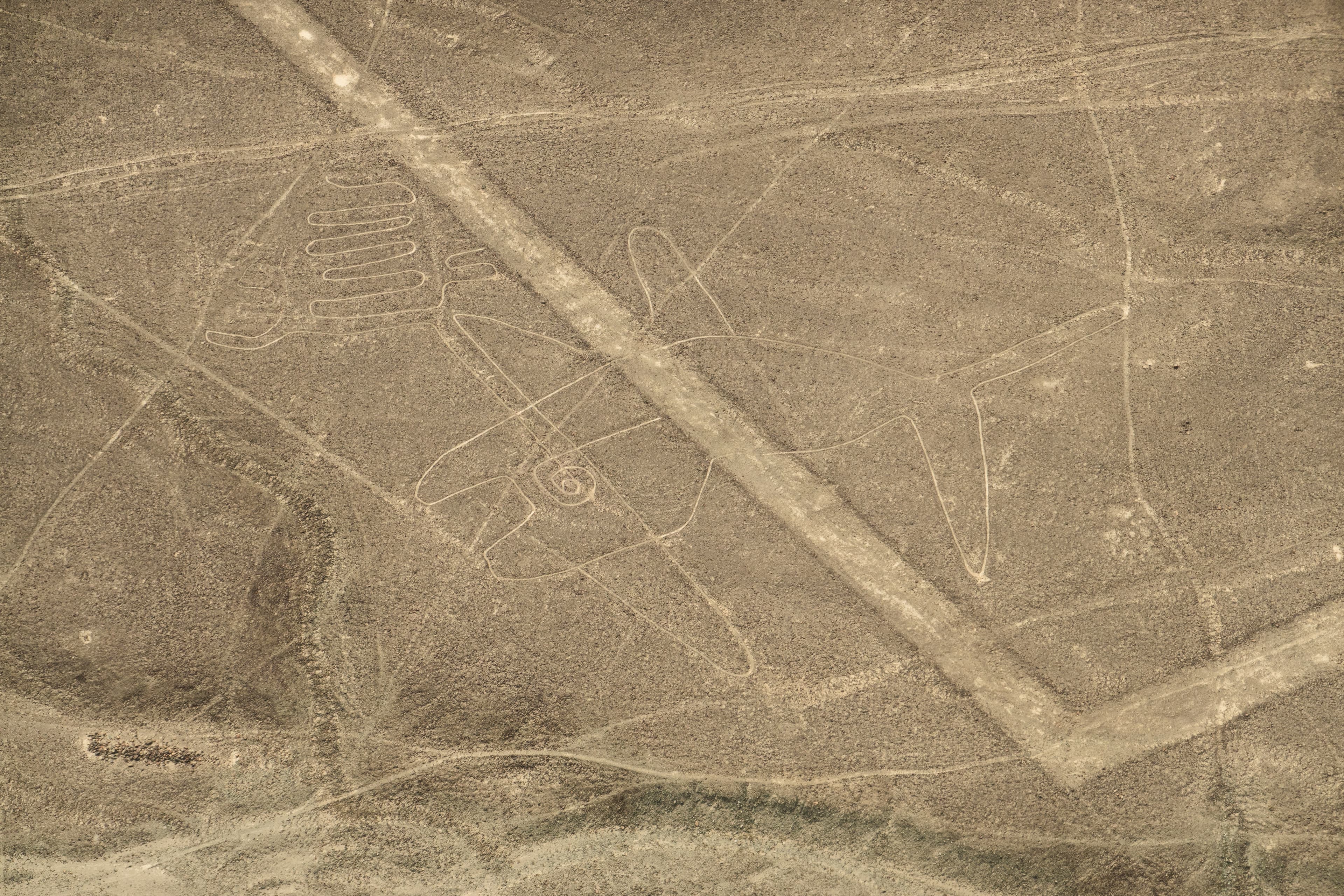 Nasca - La Ballena