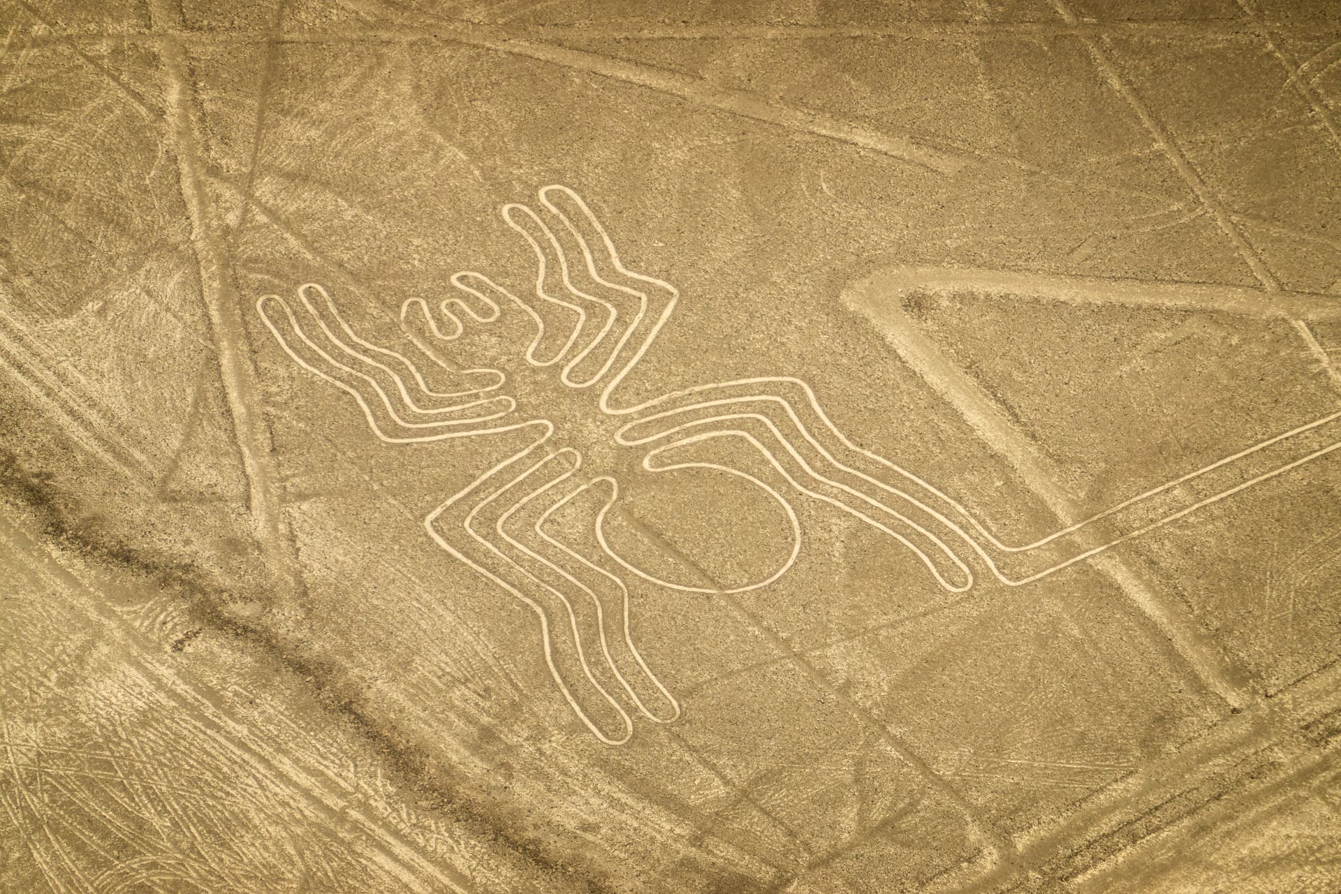 Nasca - El Araña
