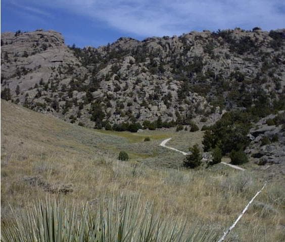 Martin's Cove