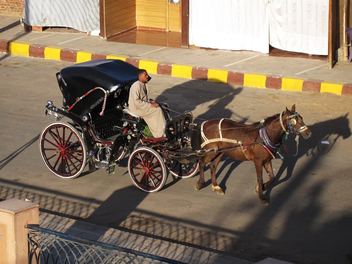 Kutsche am Ufer von Edfu, Ägypten
