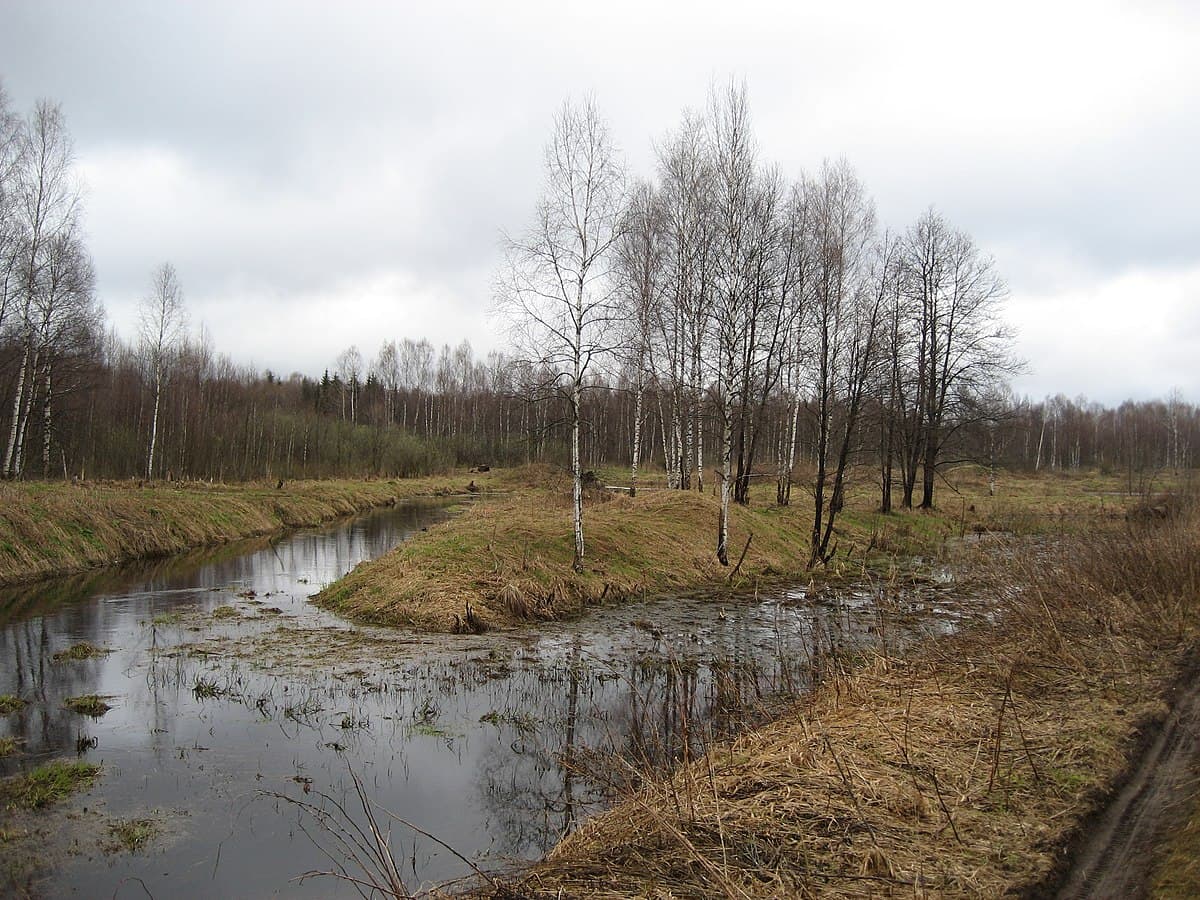 Игобла (река)