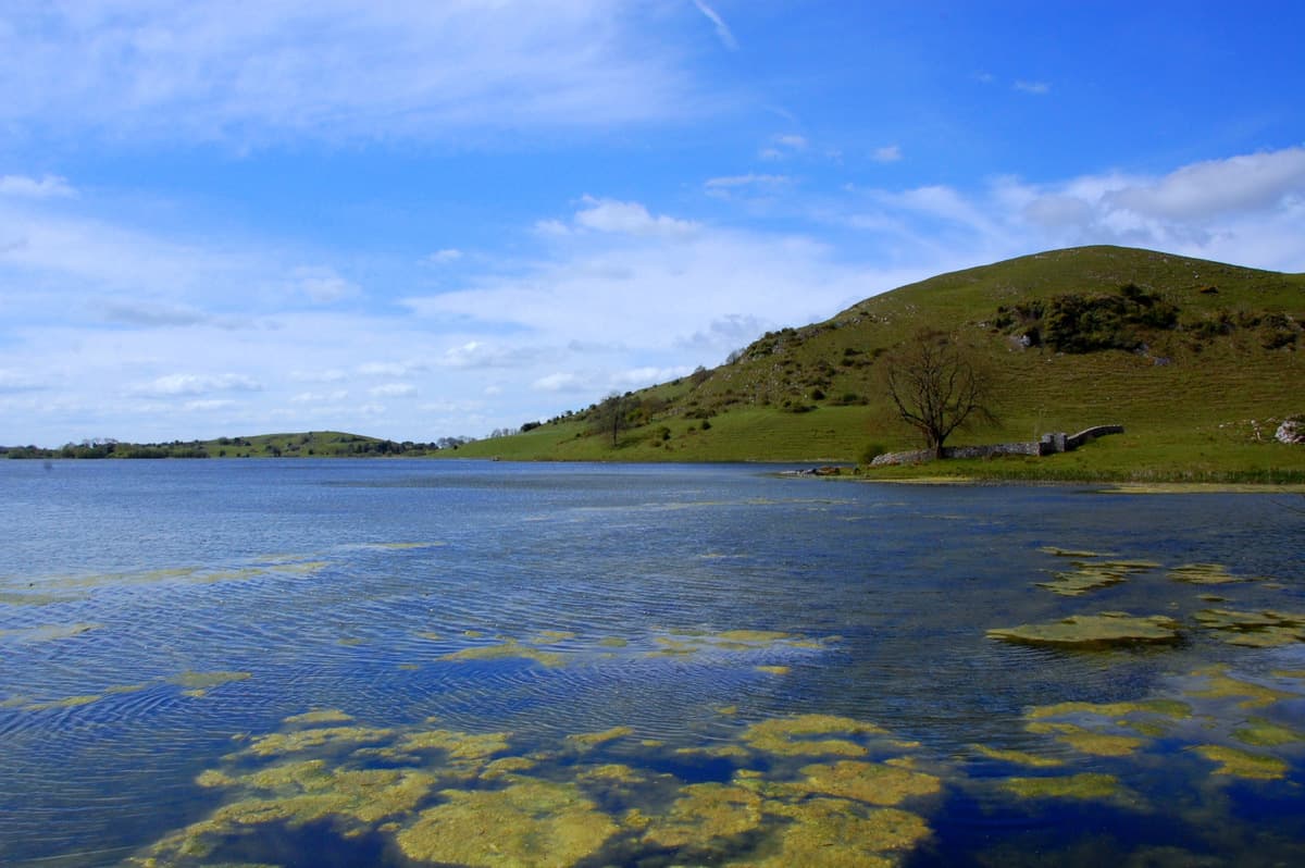 English: Lough Gur is a lake in County Limerick, Ireland. It is located between the towns of Herbertstown and Bruff.