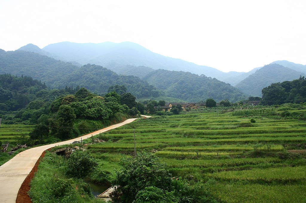 Mt. Luo Fu Shan