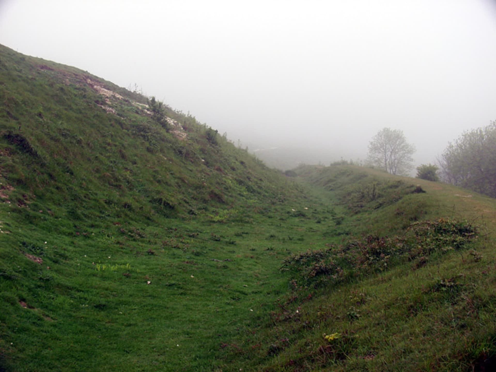 Cissbury Ring, Findon, West Sussex, England