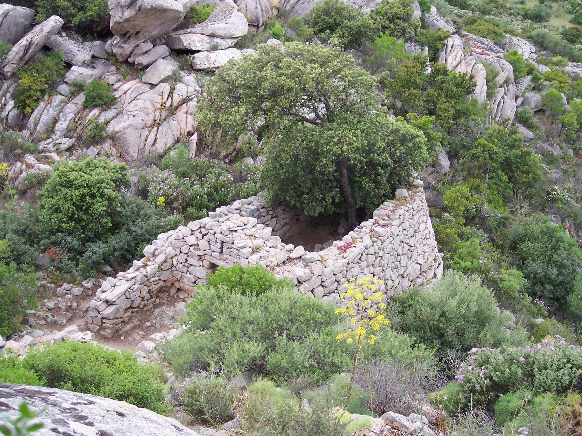 Complesso Nuragico di Malchittu