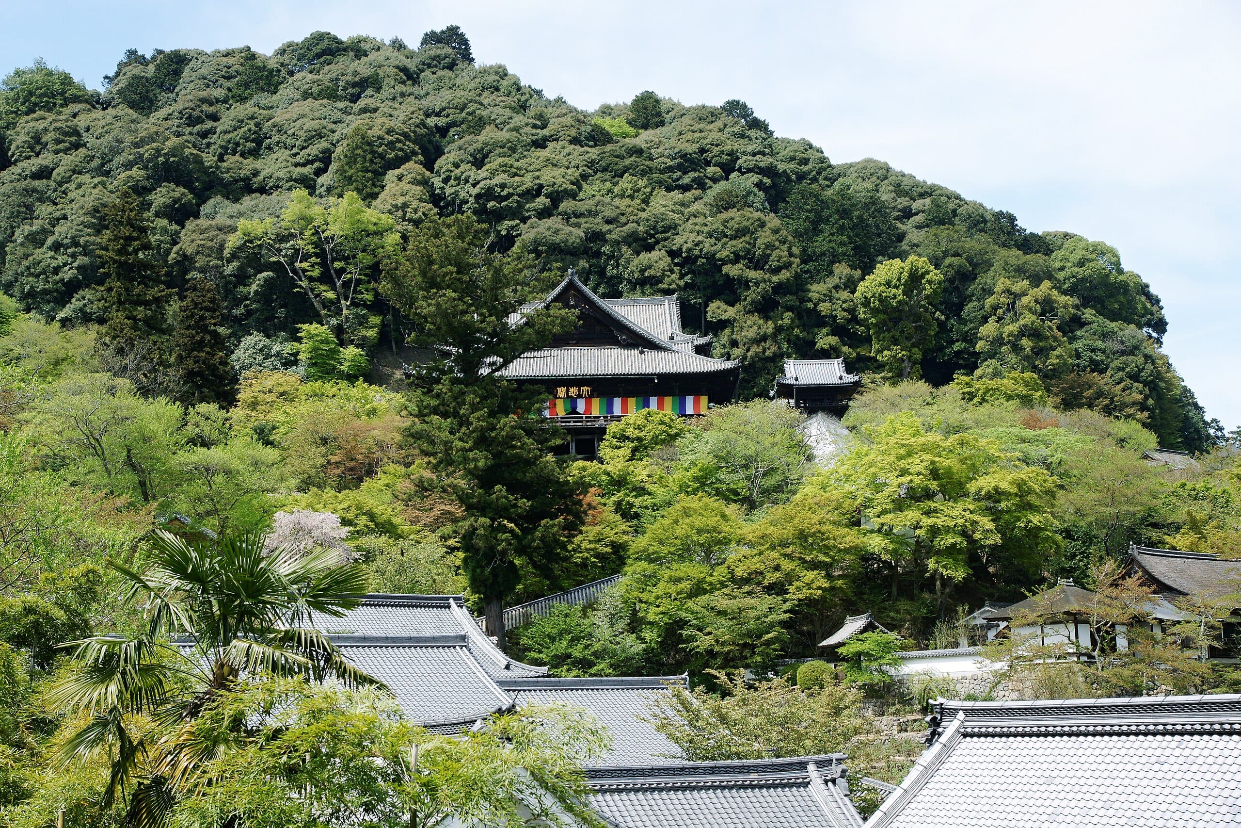 Hase-dera Shingon Buddhist Temple, Sakurai