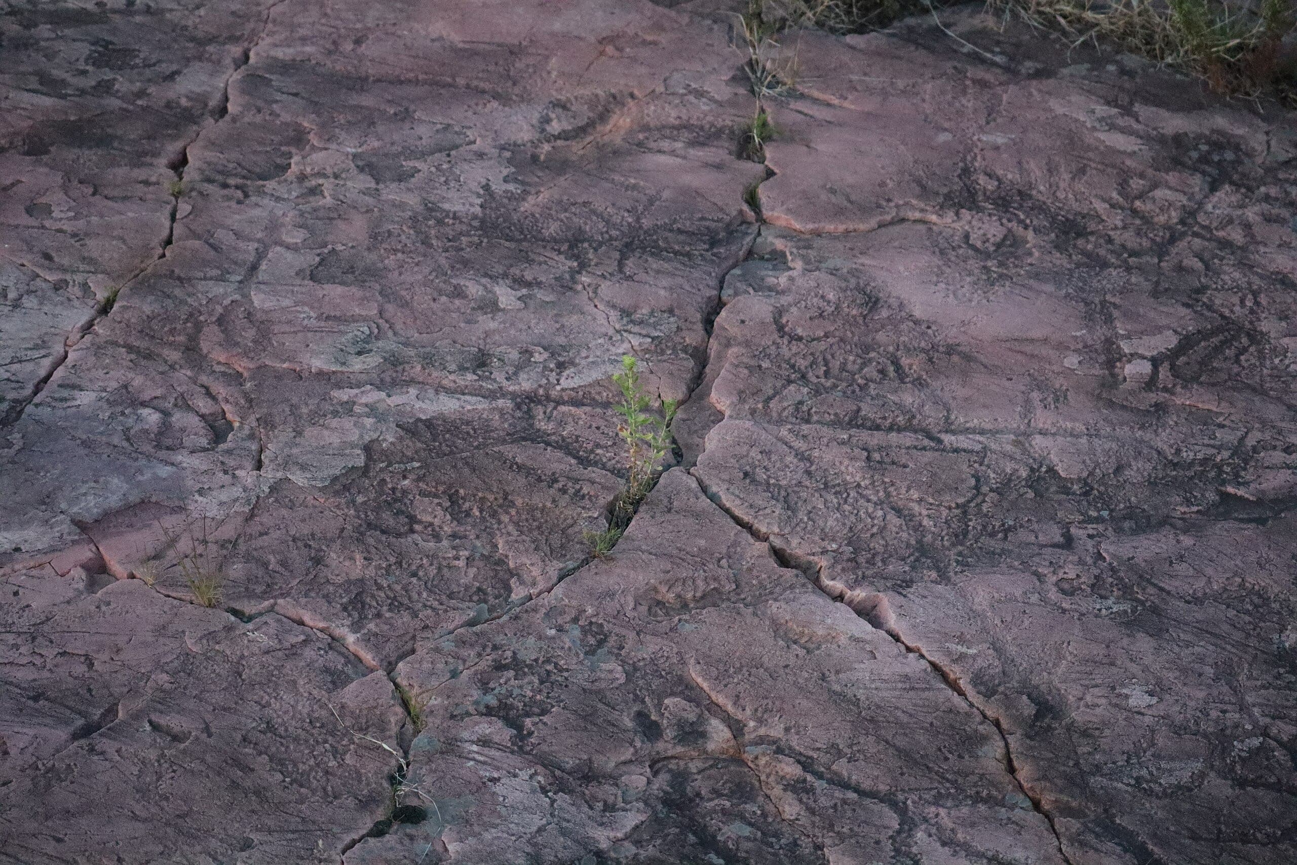 Jeffers Petroglyphs, Comfrey, Minnesota