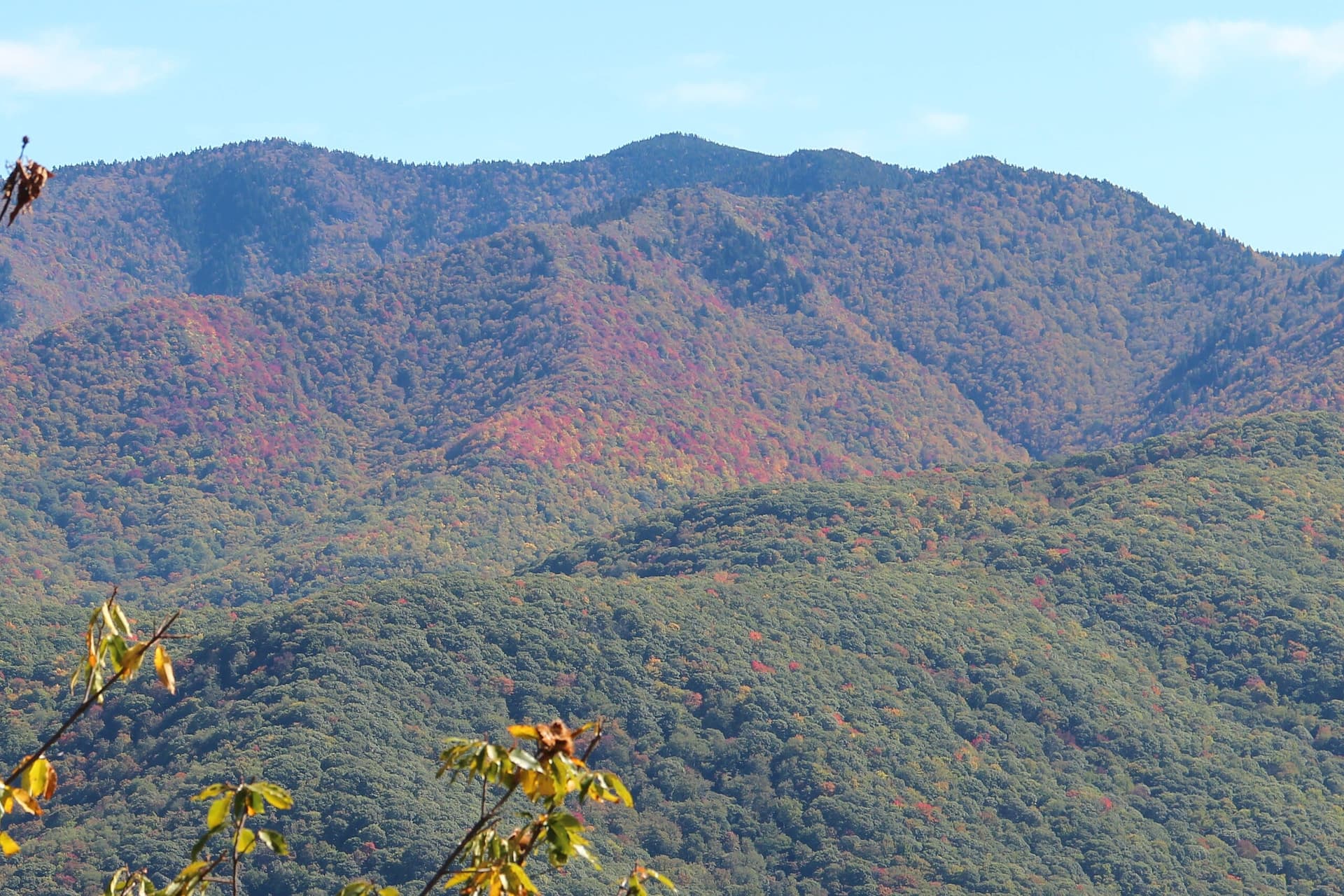 Mt. Richland-Balsam, North Carolina
