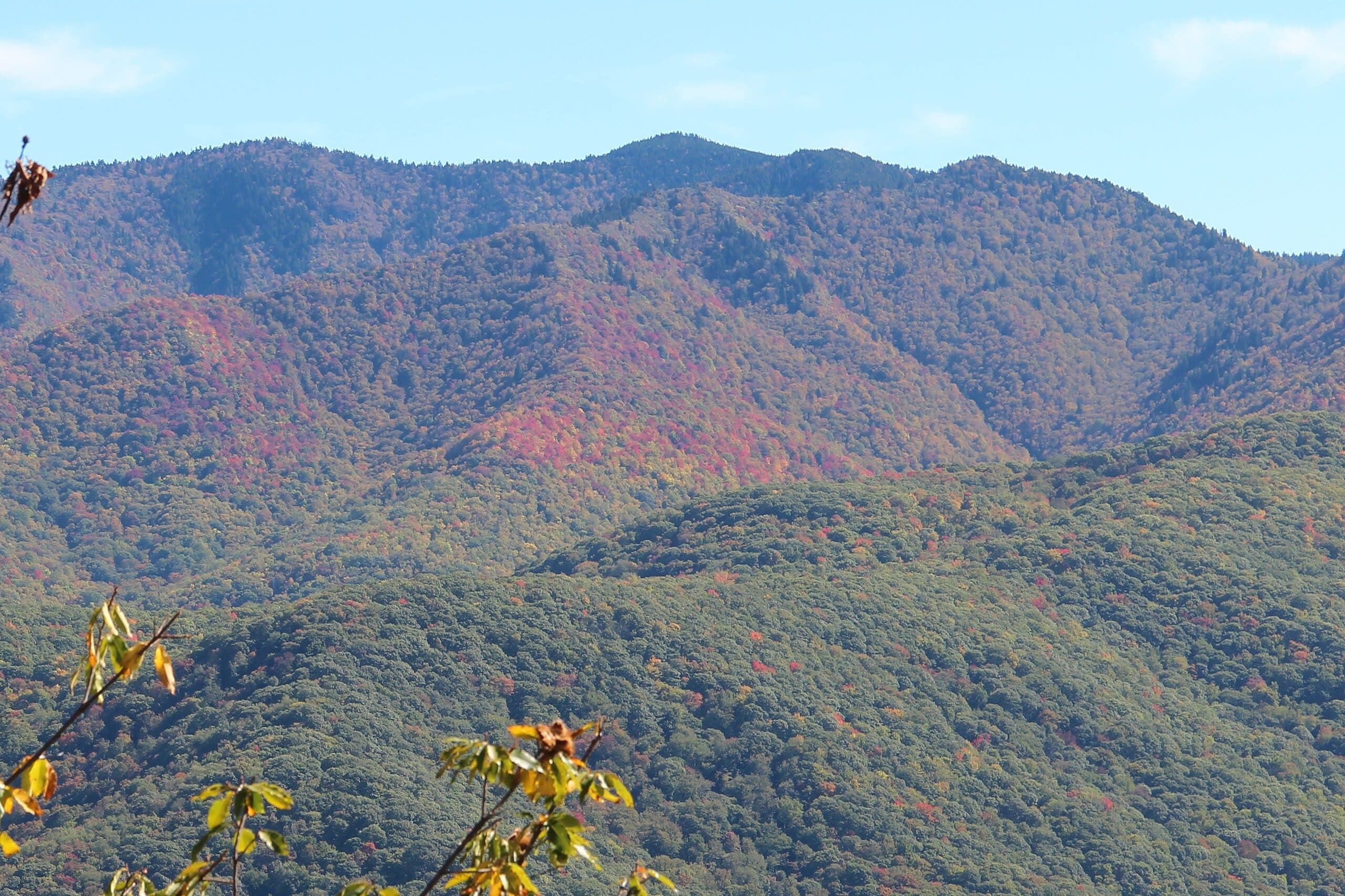 Mt. Richland-Balsam, North Carolina
