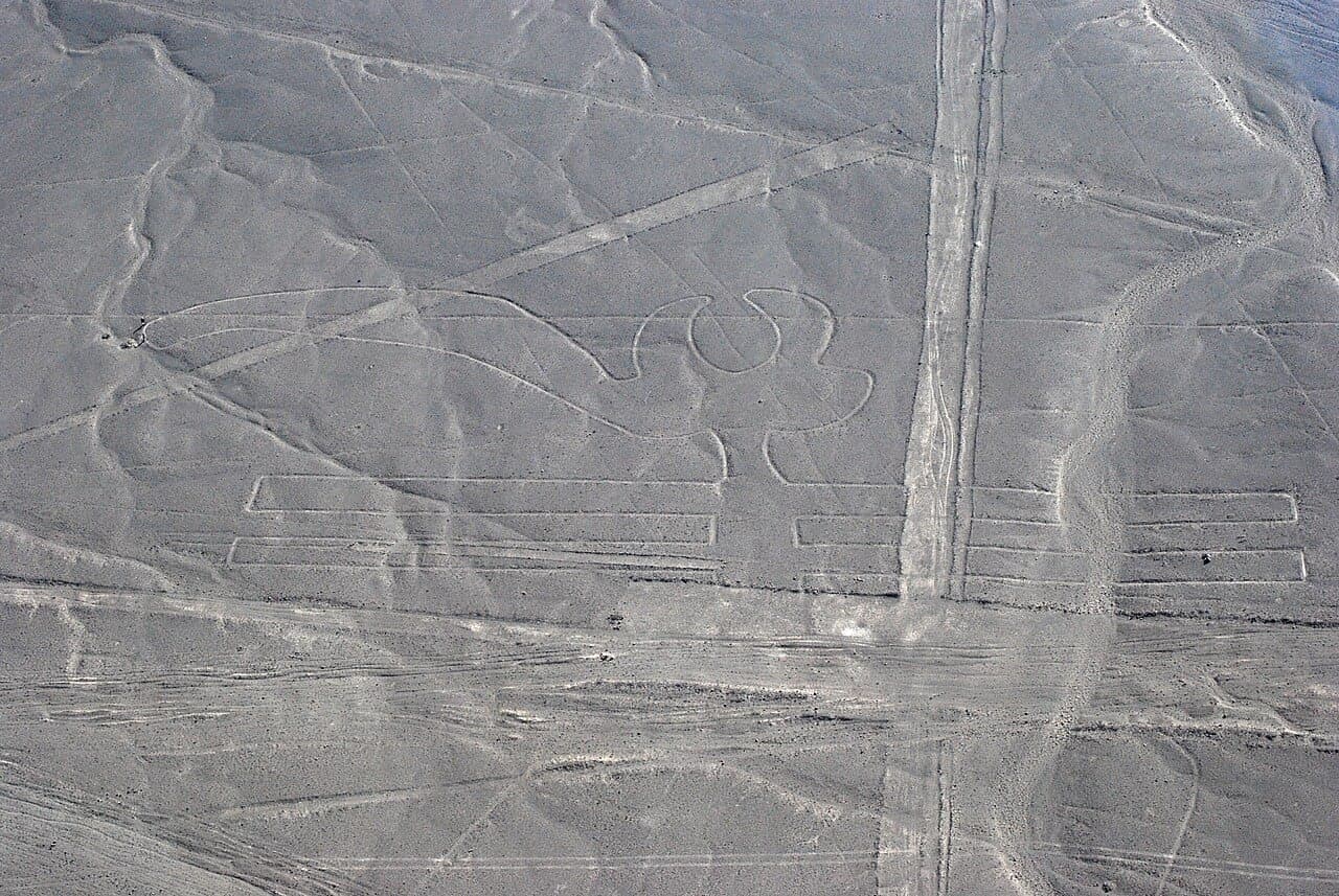 Nasca - El Loro