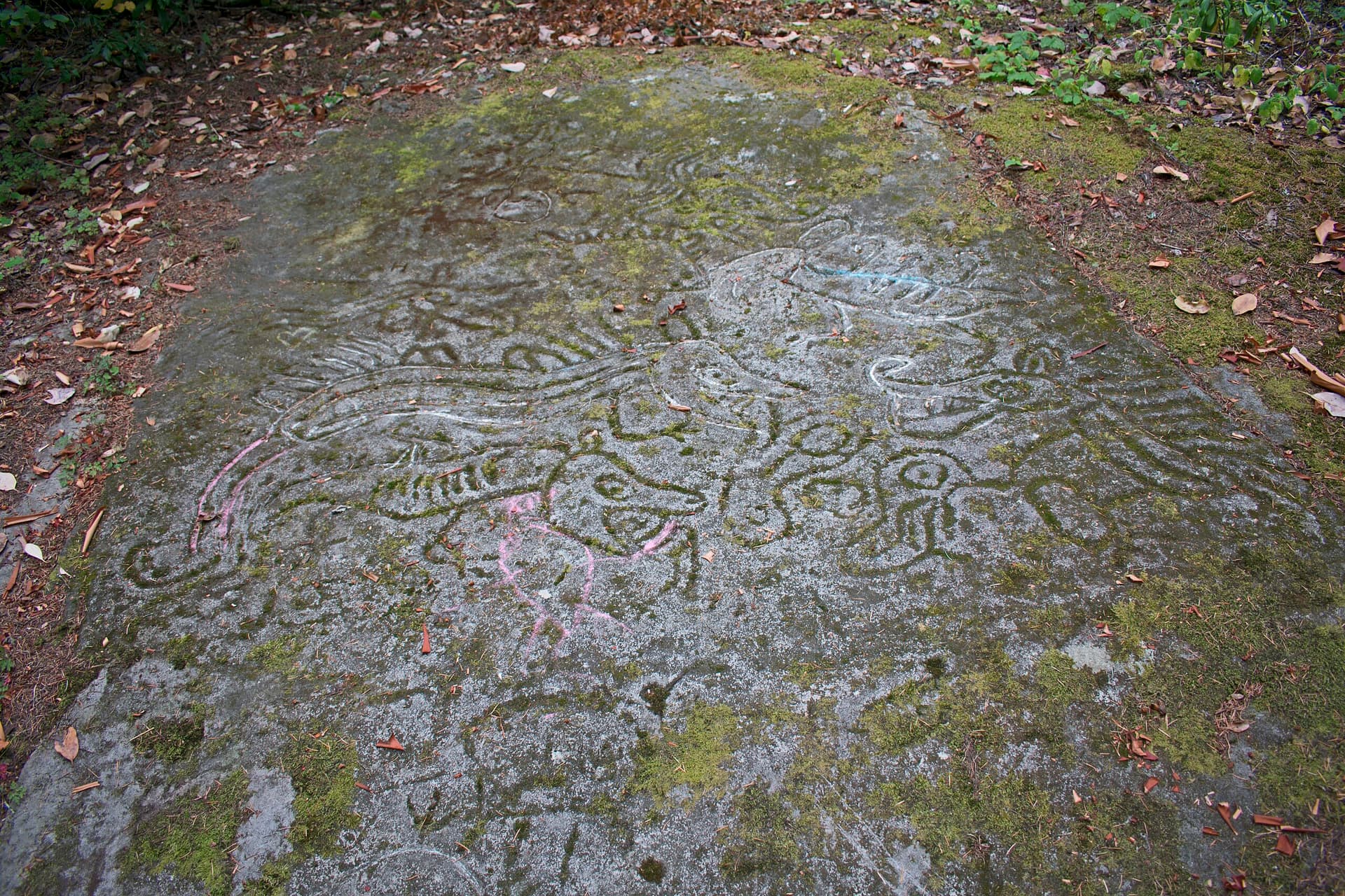 Petroglyph Provinical Park, BC