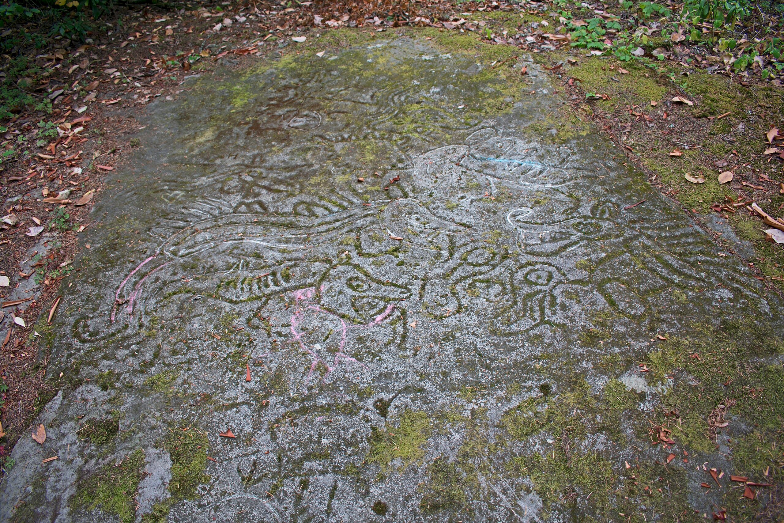 Petroglyph Provinical Park, BC