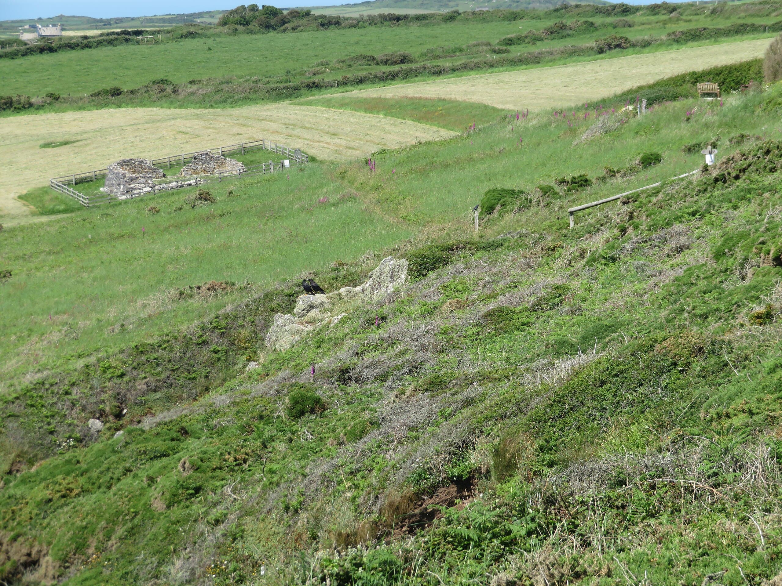 St Non’s Chapel and Well