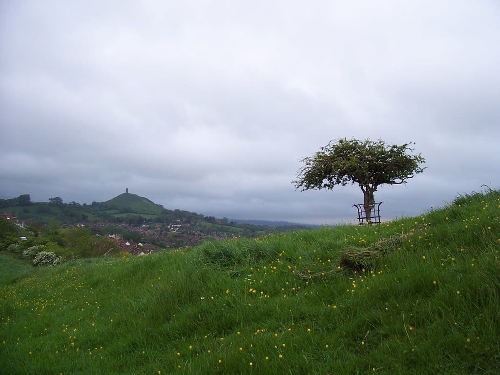 Wearyall Hill & Holy Thorn
