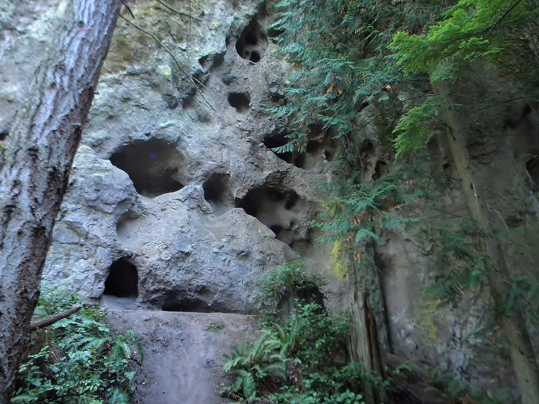 Tamanowas Rock Santuary, Washington