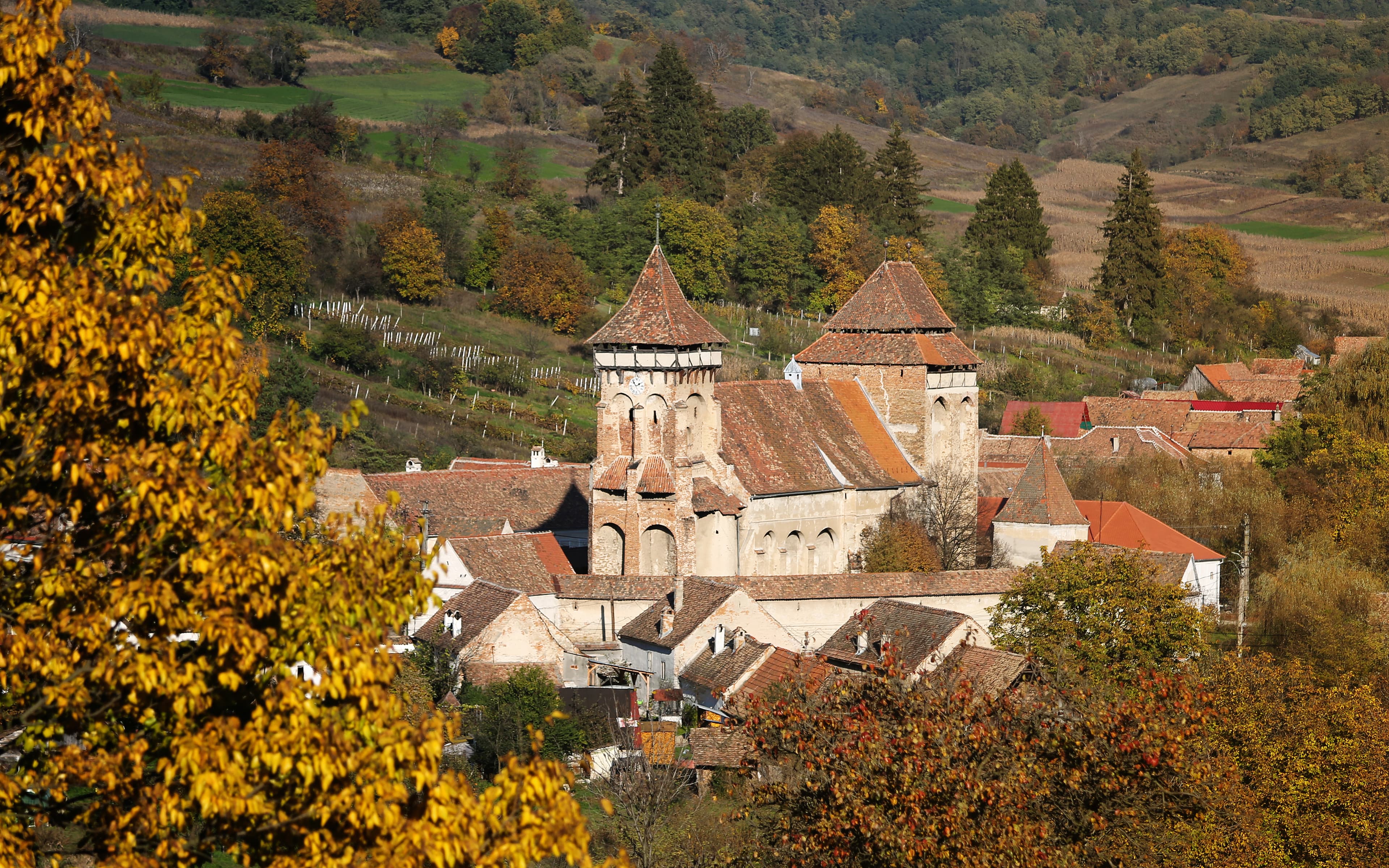 Valea Viilor Fortified Church and Village Ensemble