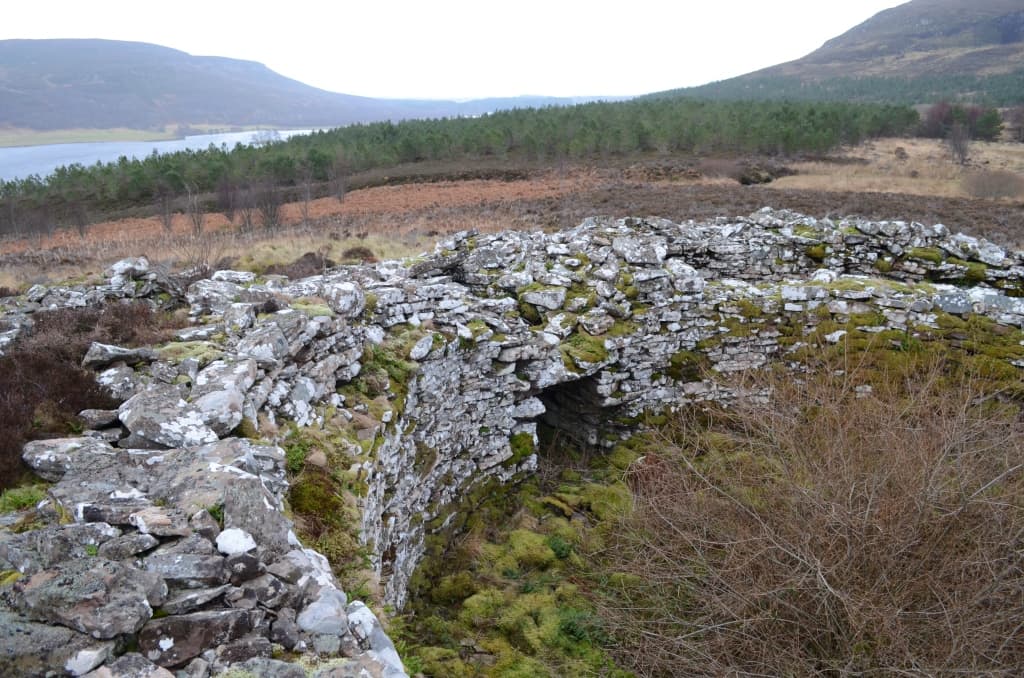 Carrol Broch