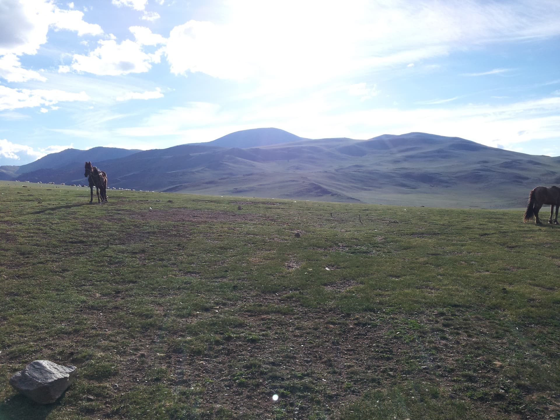 Altan Khökhii Mountain