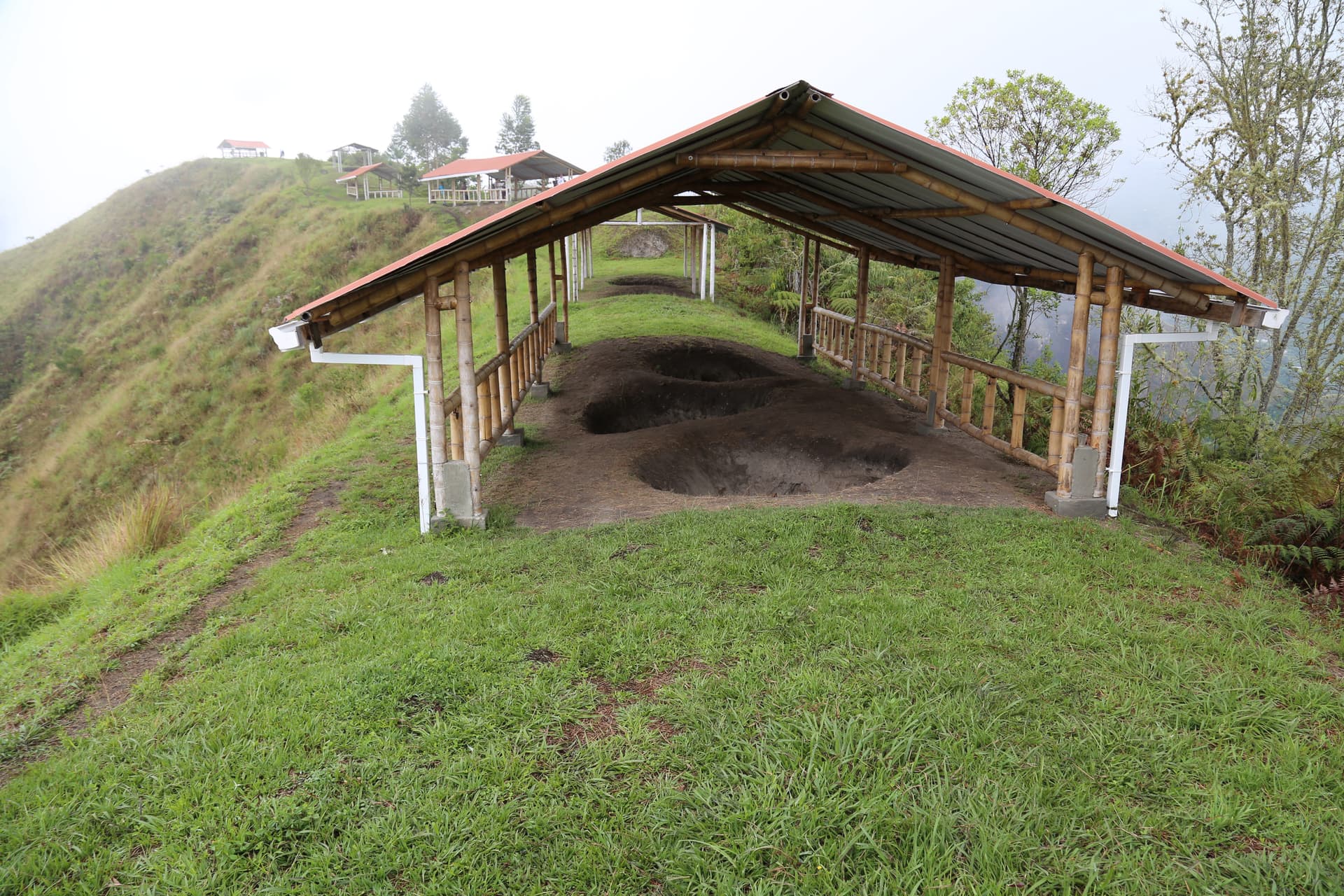 Hill of the Avocado