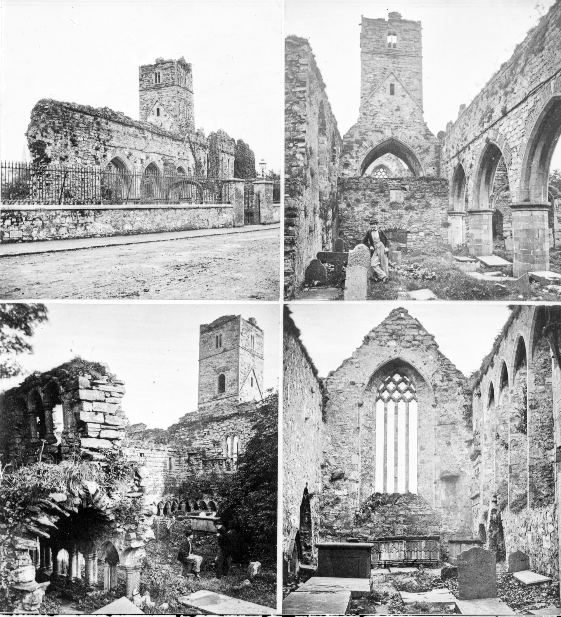 Sligo Abbey
