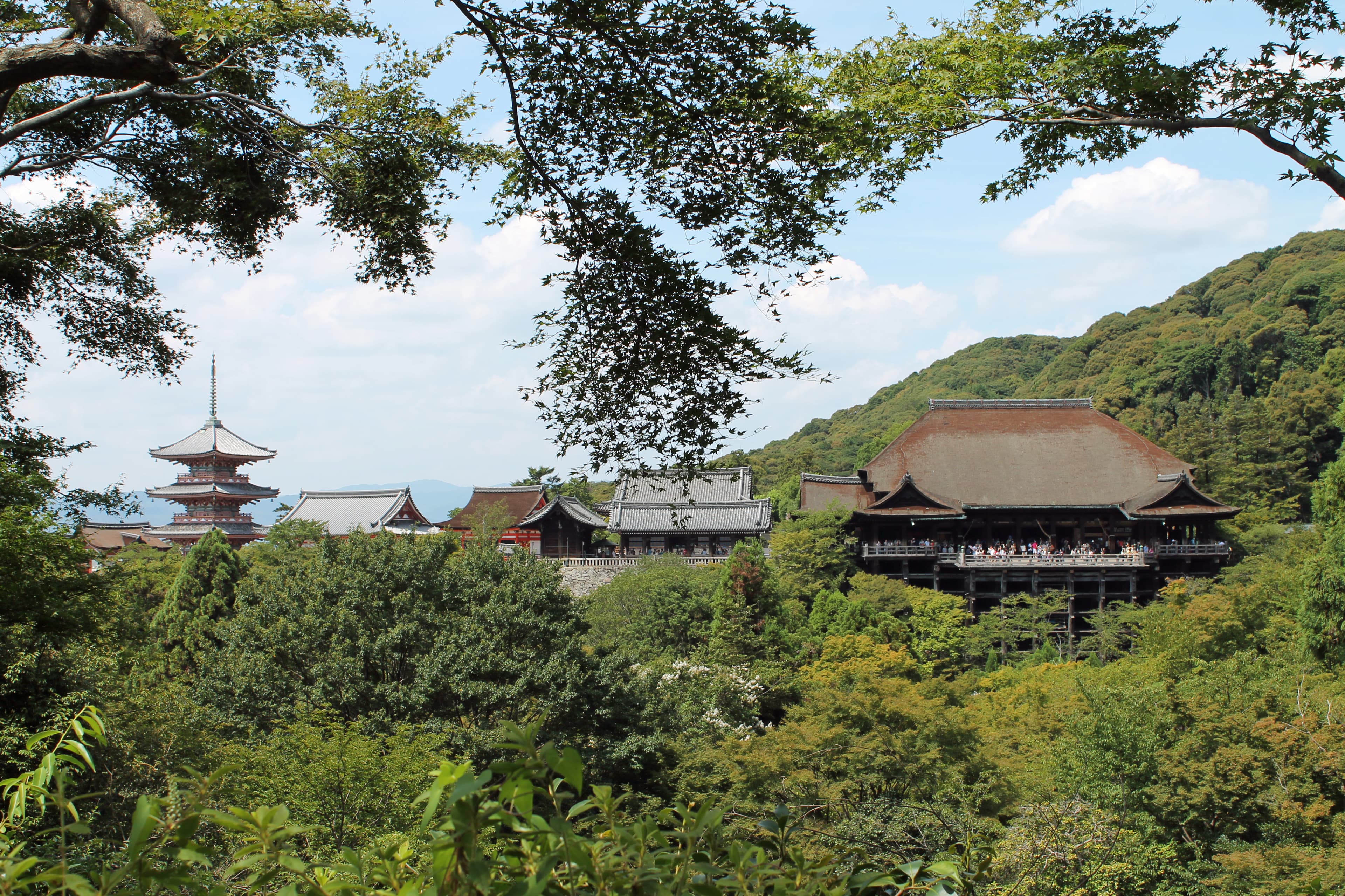 Kiyomizu-dera (清水寺)