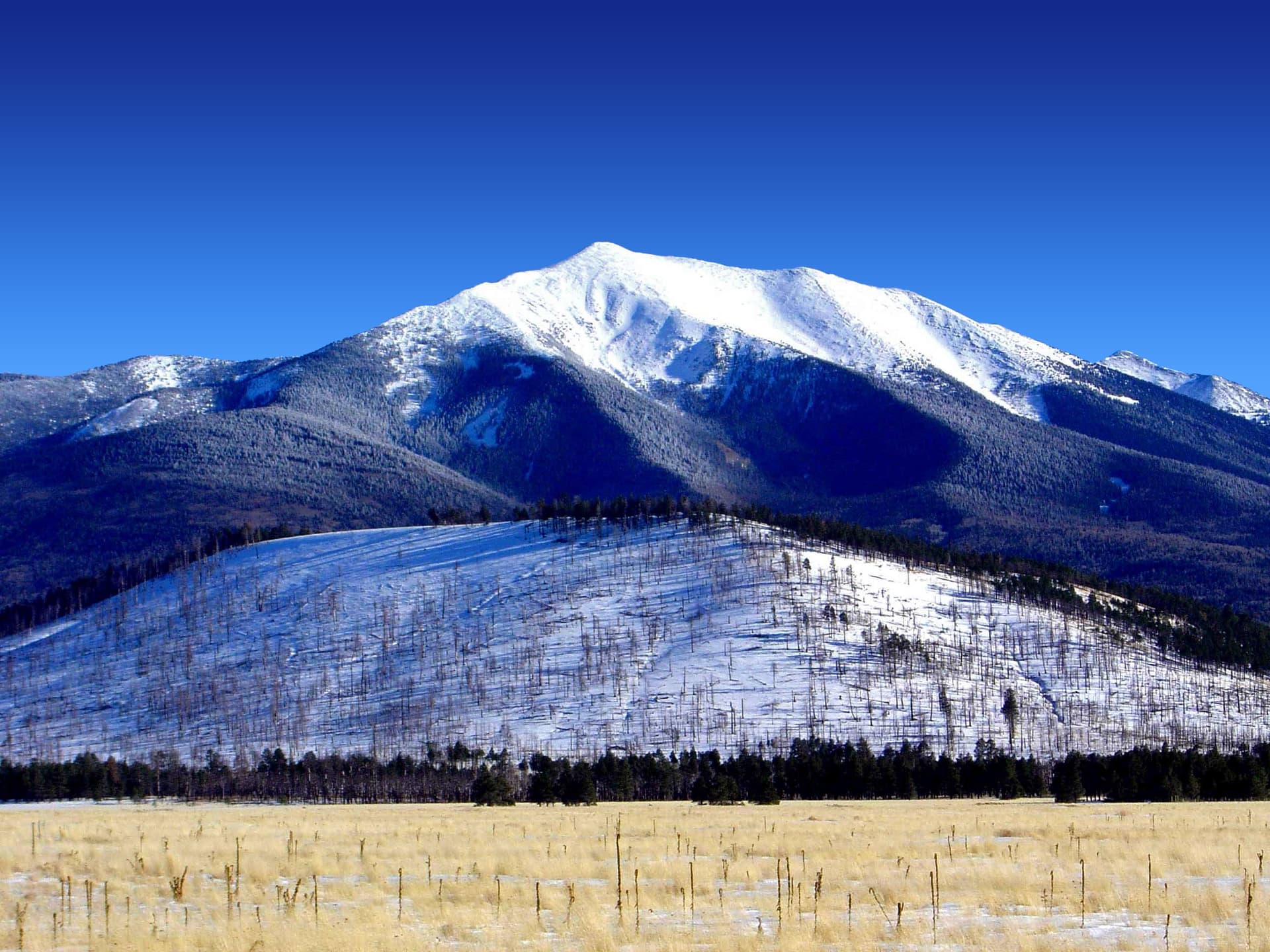 Mt. Humphreys, Arizona