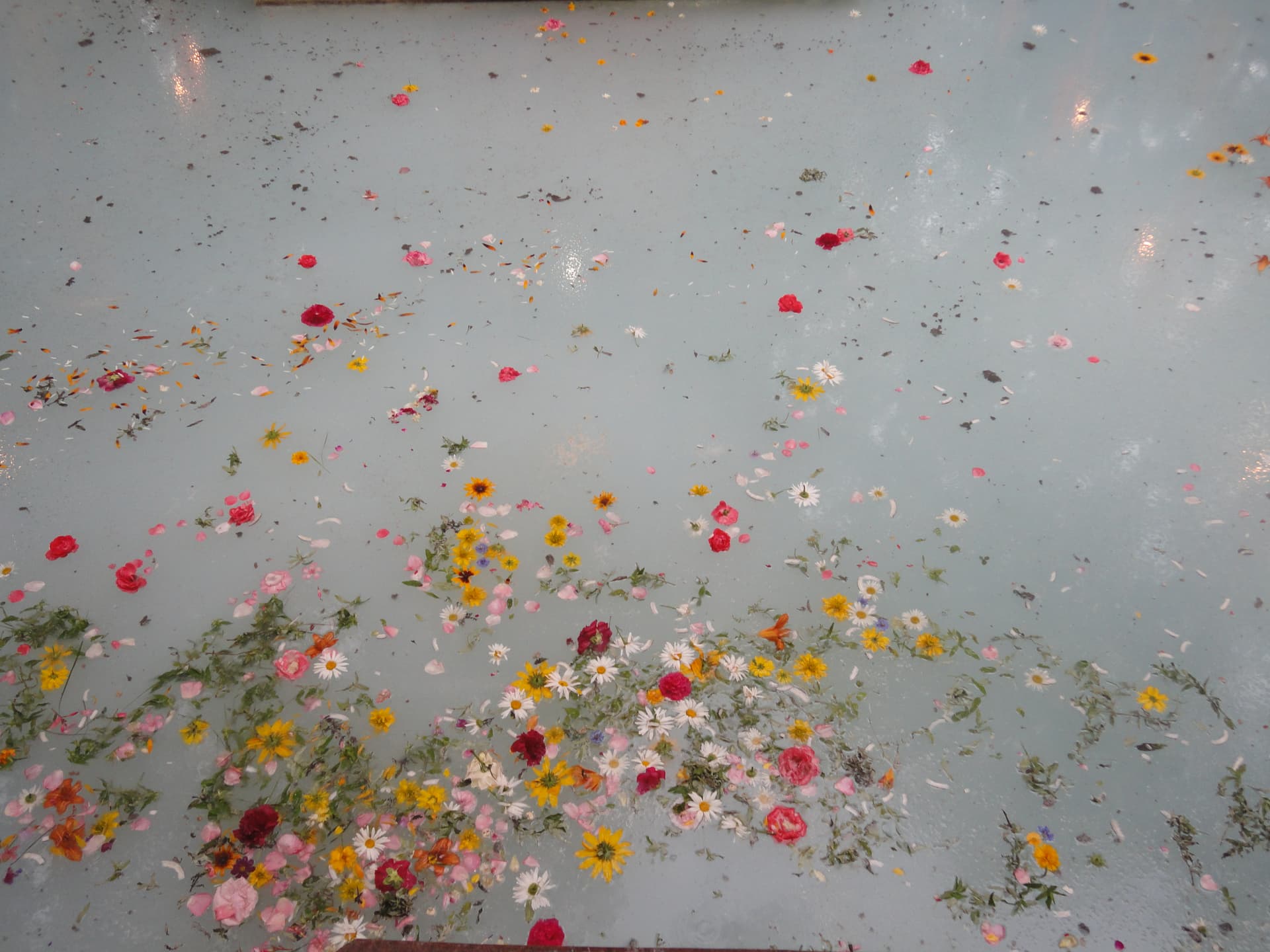 Shree Kheer Bhawani Durga Temple, Tulmulla, Kashmir
