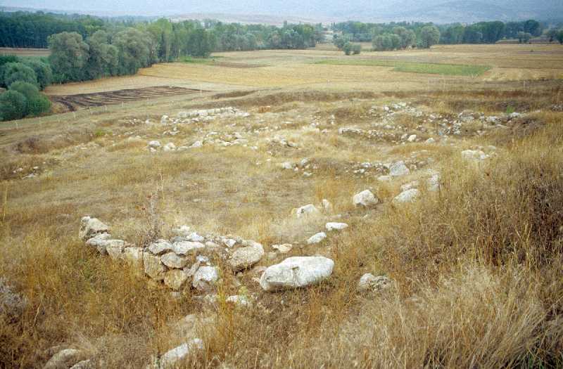 Tapikka