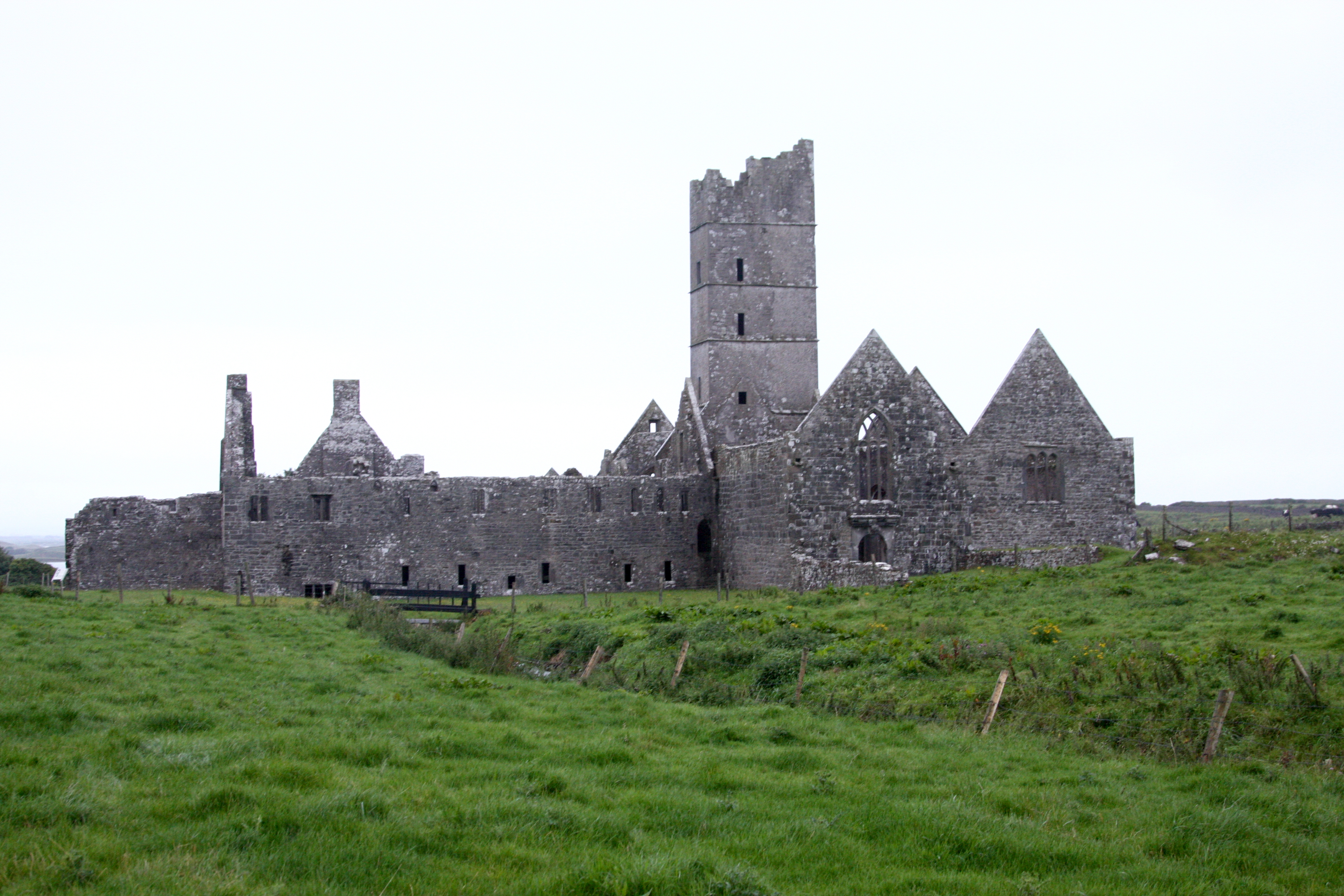 Moyne Abbey