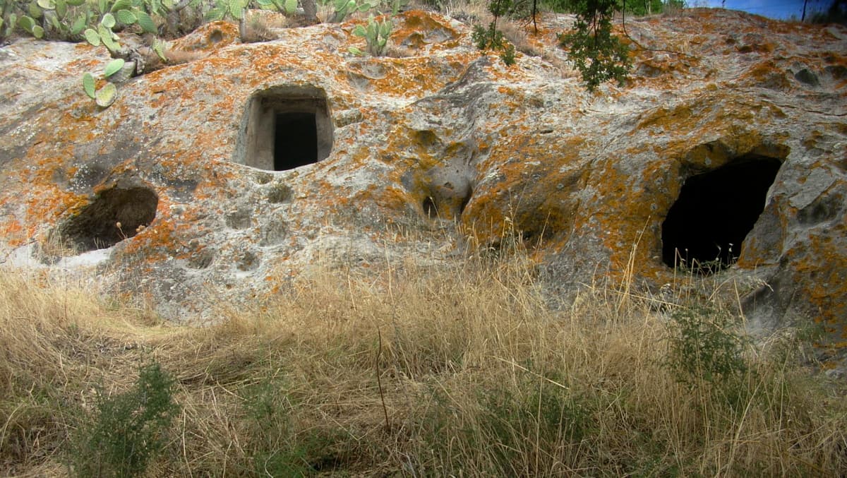 Domus de janas, Sas Concas