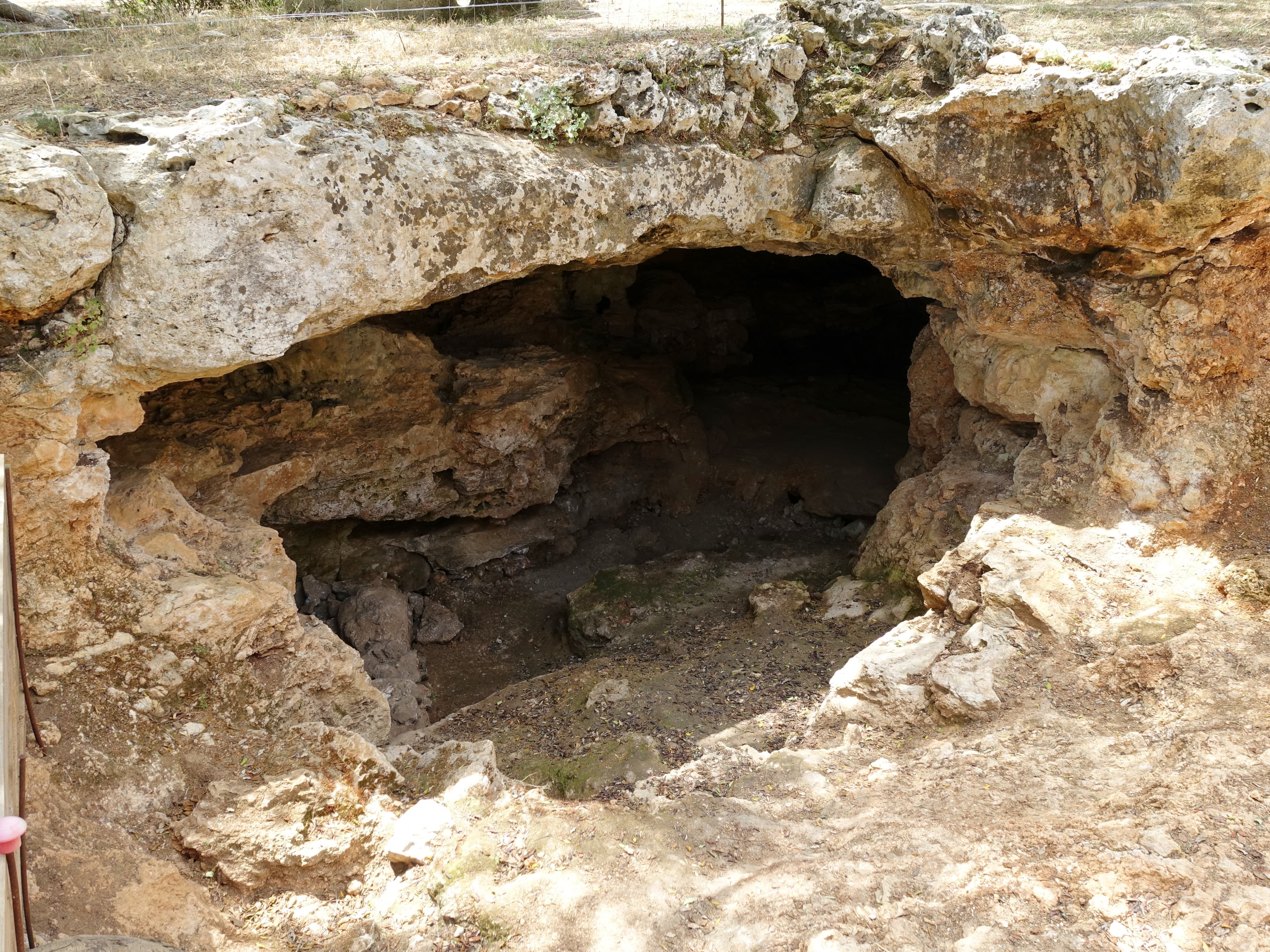 Cova del Bisbe