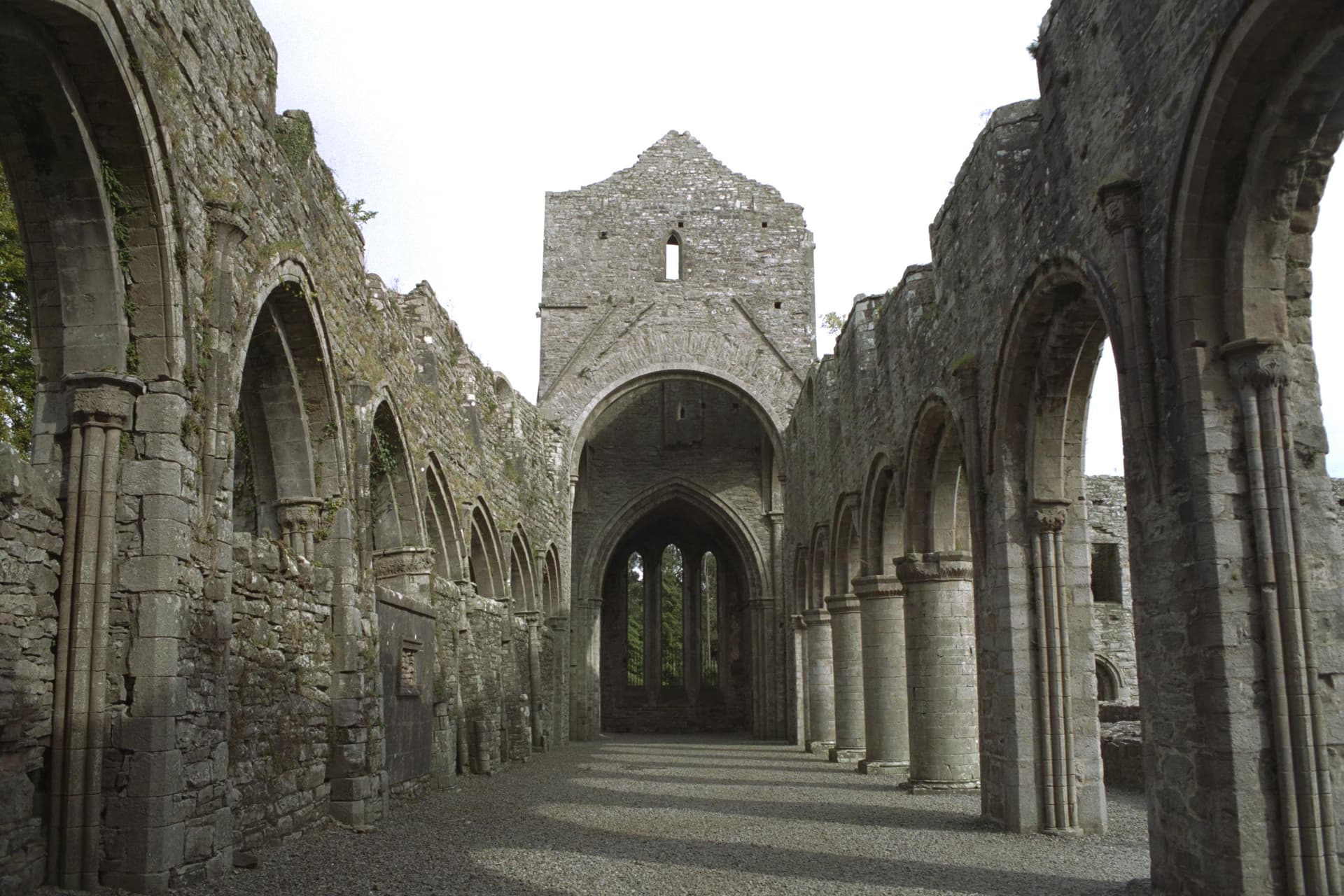 Boyle Abbey