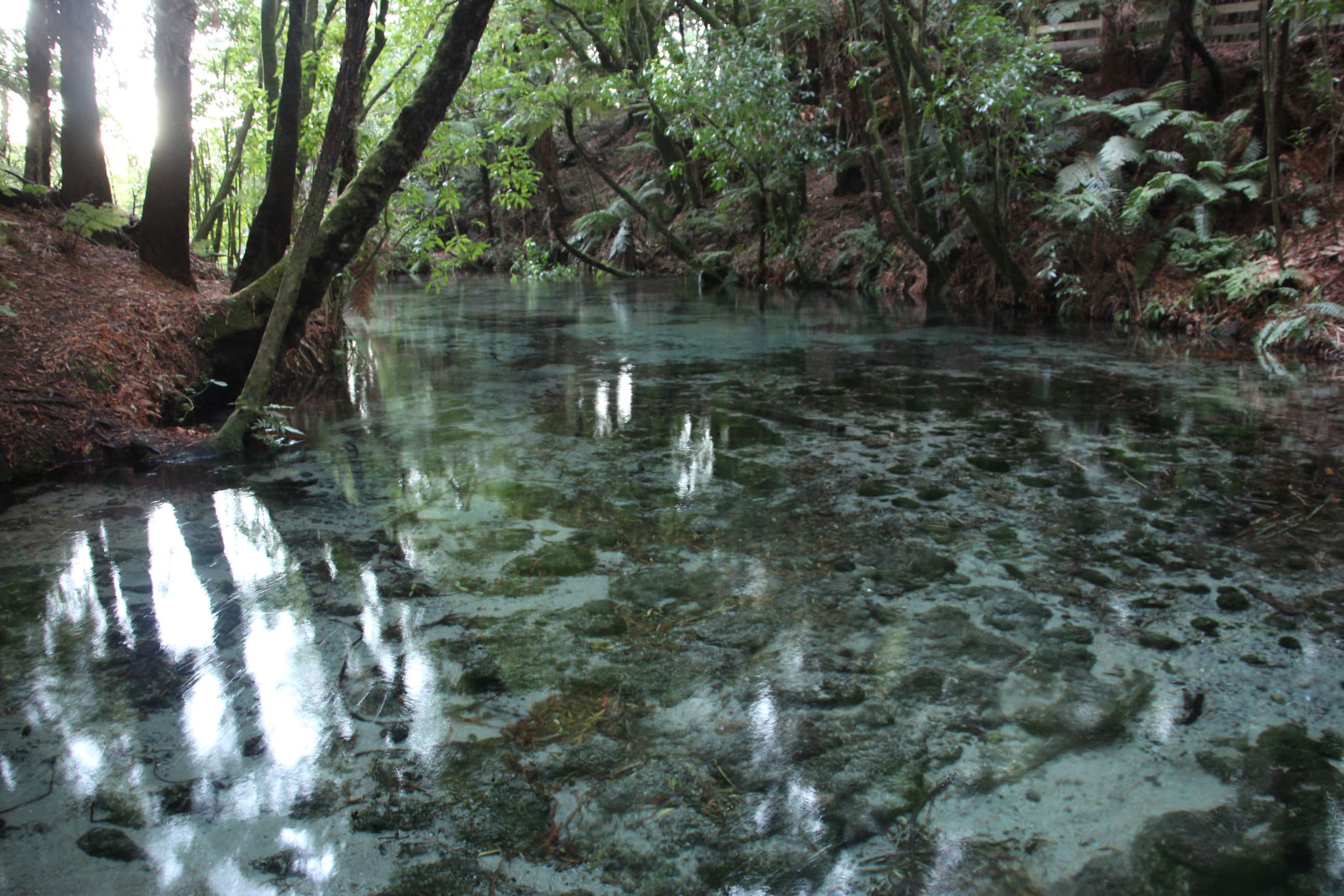 Hamurana Springs