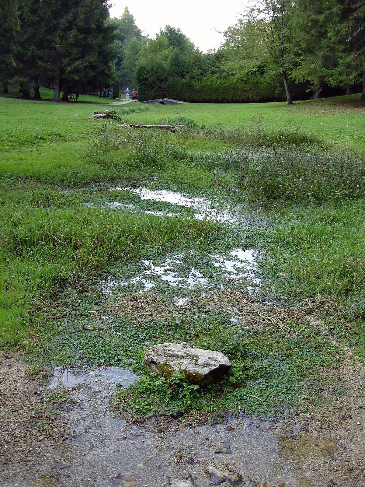 Sources of the Seine