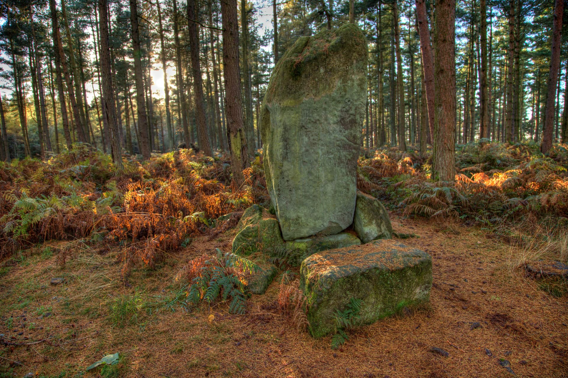 Druids' Temple